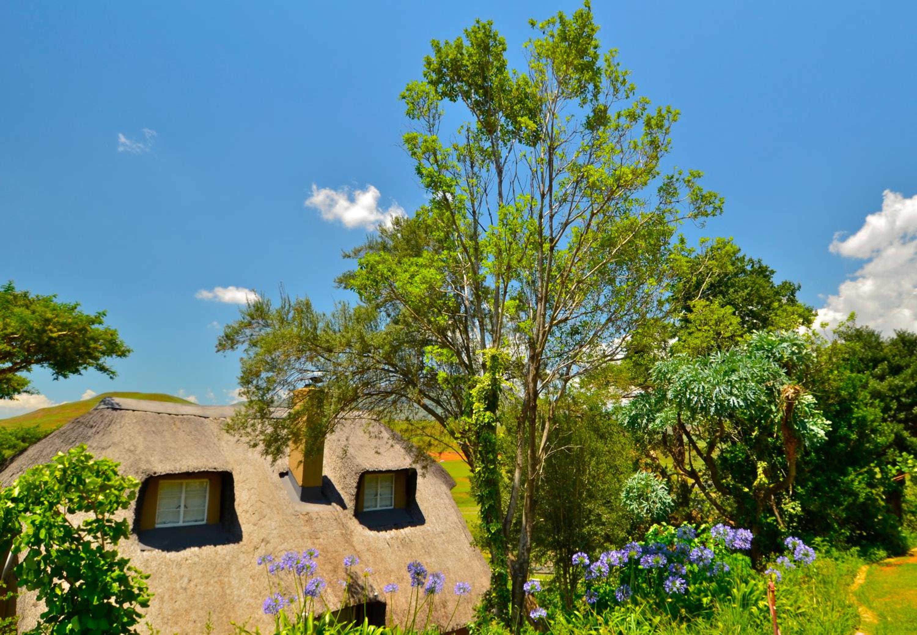 Hlalanathi Drakensberg Resort view 2