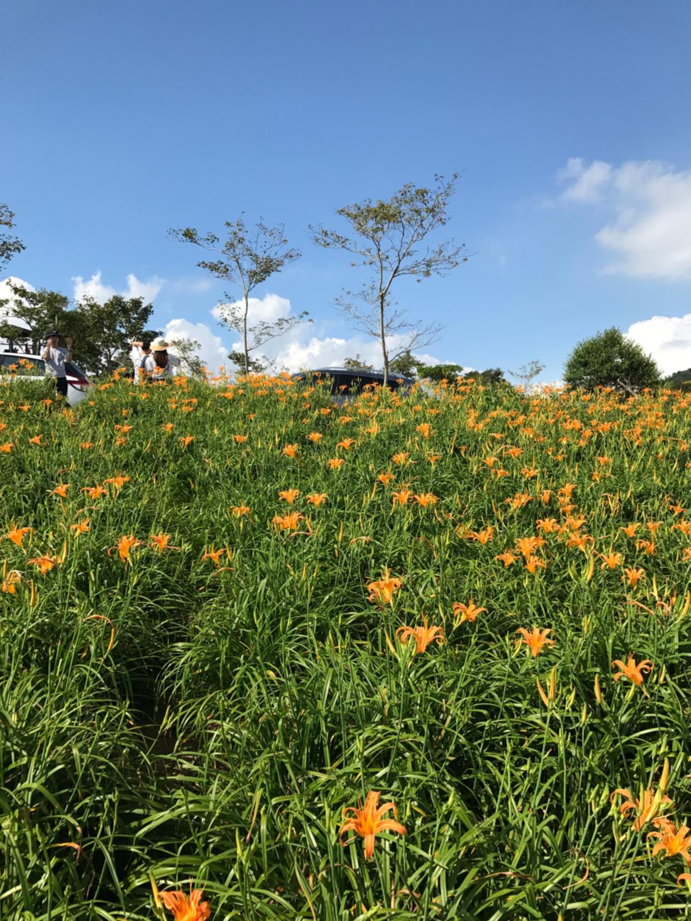 Hsin Sheng Taitung