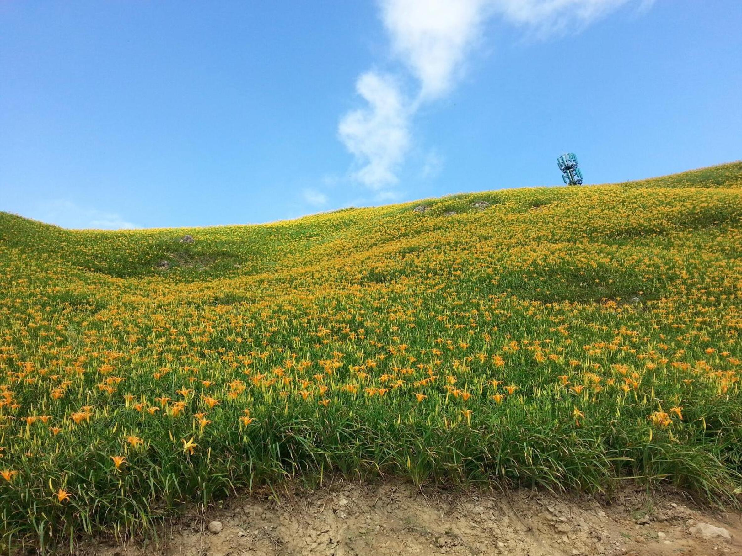 Hsin Sheng Taitung