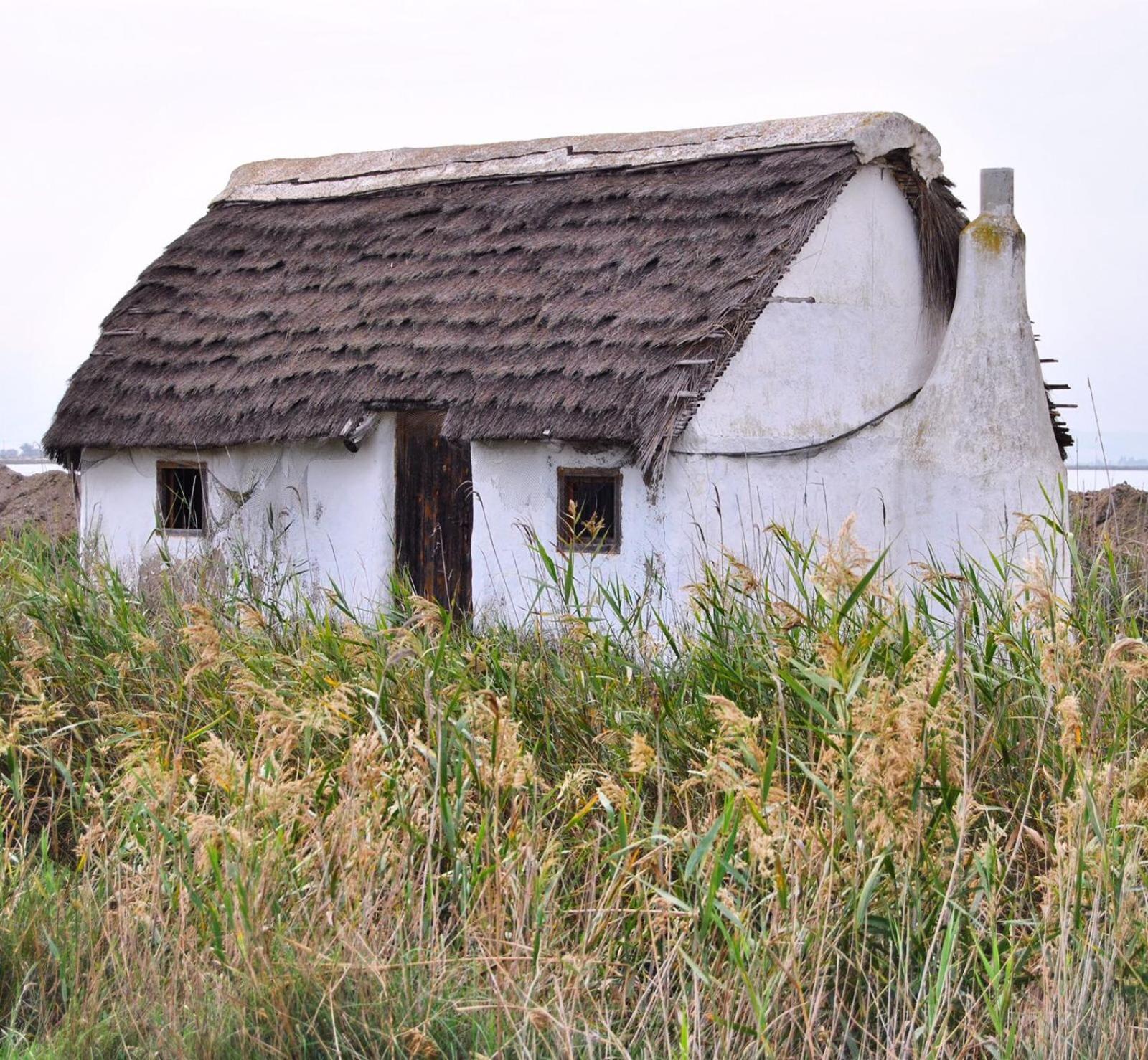 Photo 44