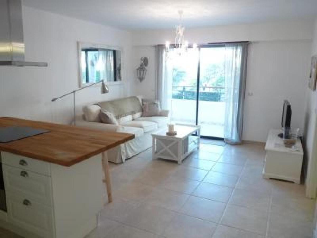Elegant two bedroom apartment with modern design and terrace close to beaches and Cannes center 546 photo 4