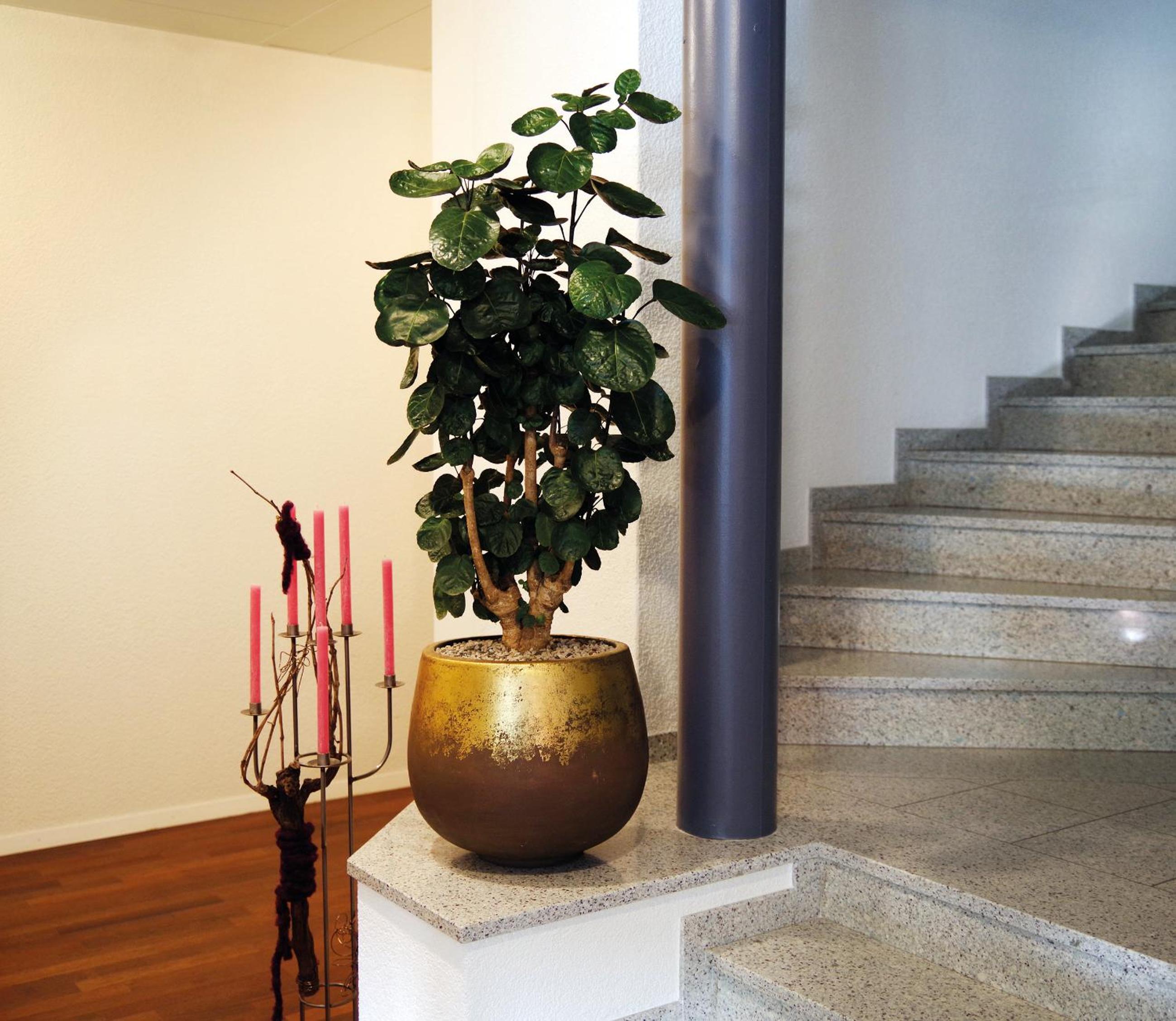 Hotel Garni Arnegg
