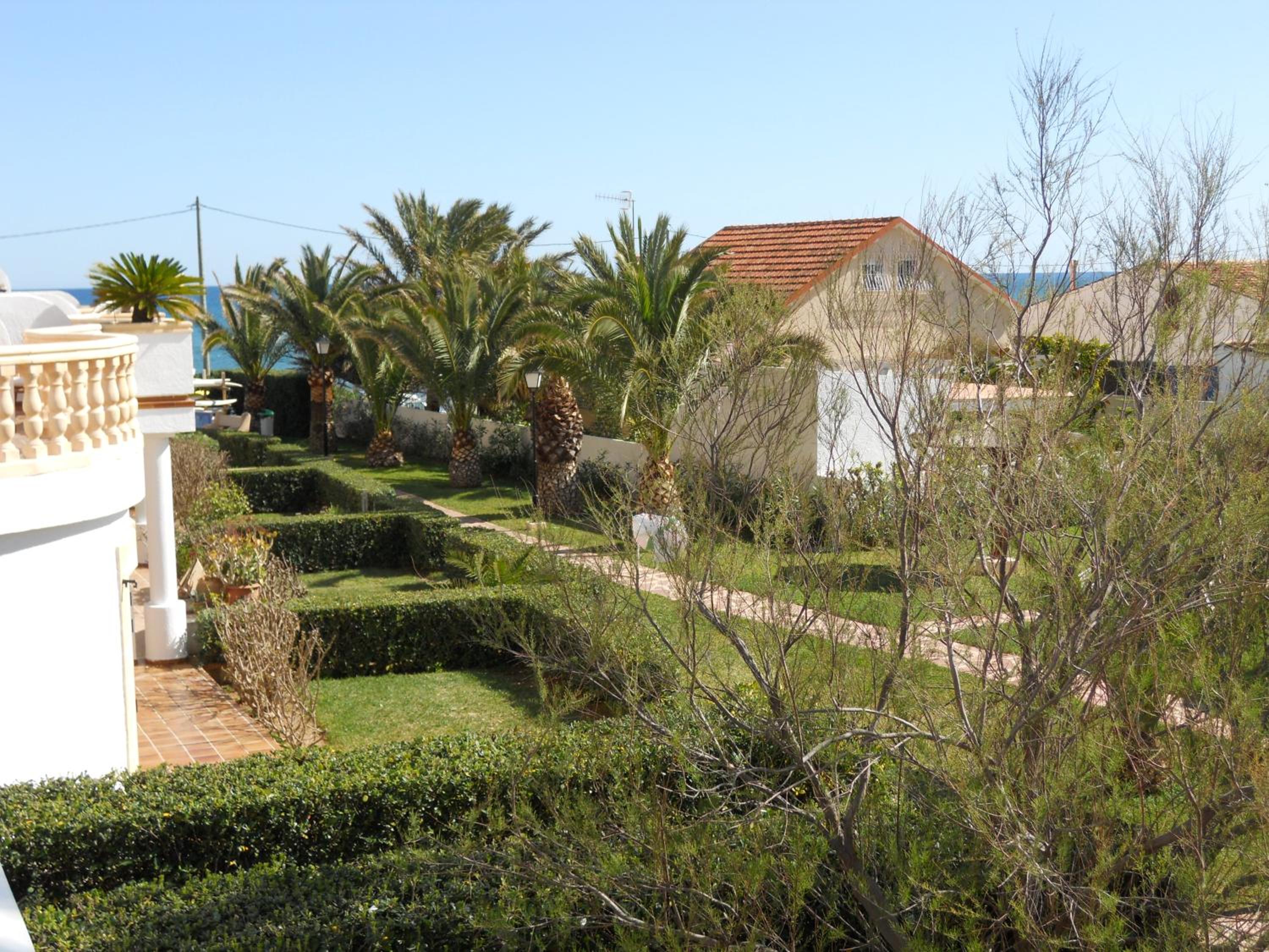 Denia Blau-Serviden