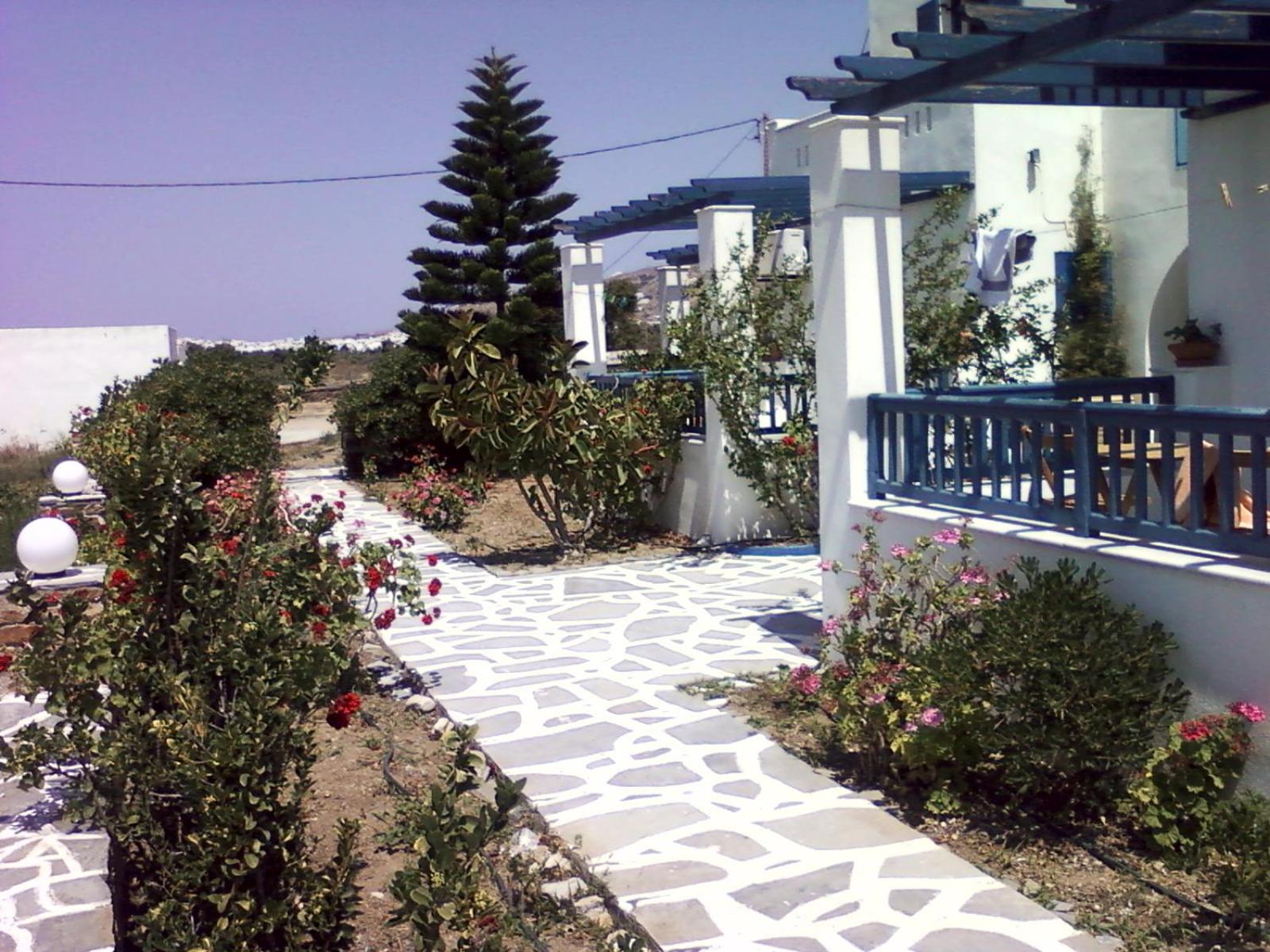 Photo 23