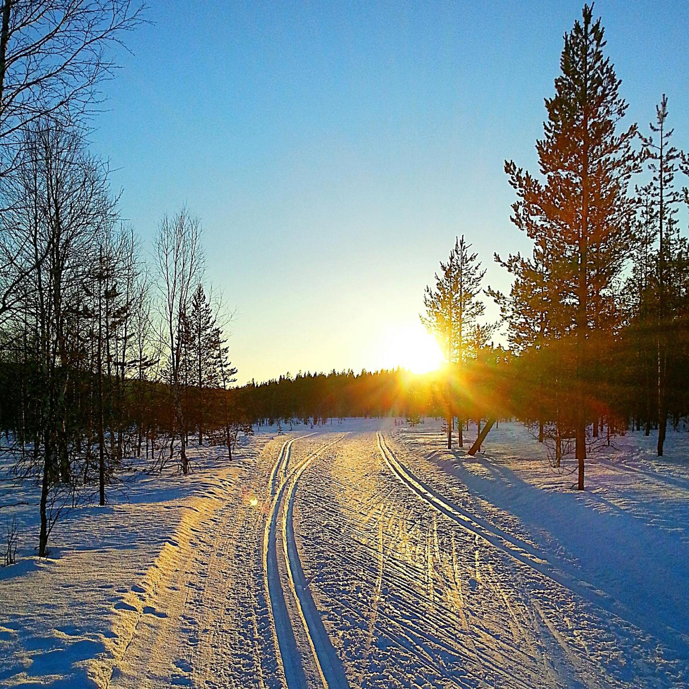 Hostel Sivakka