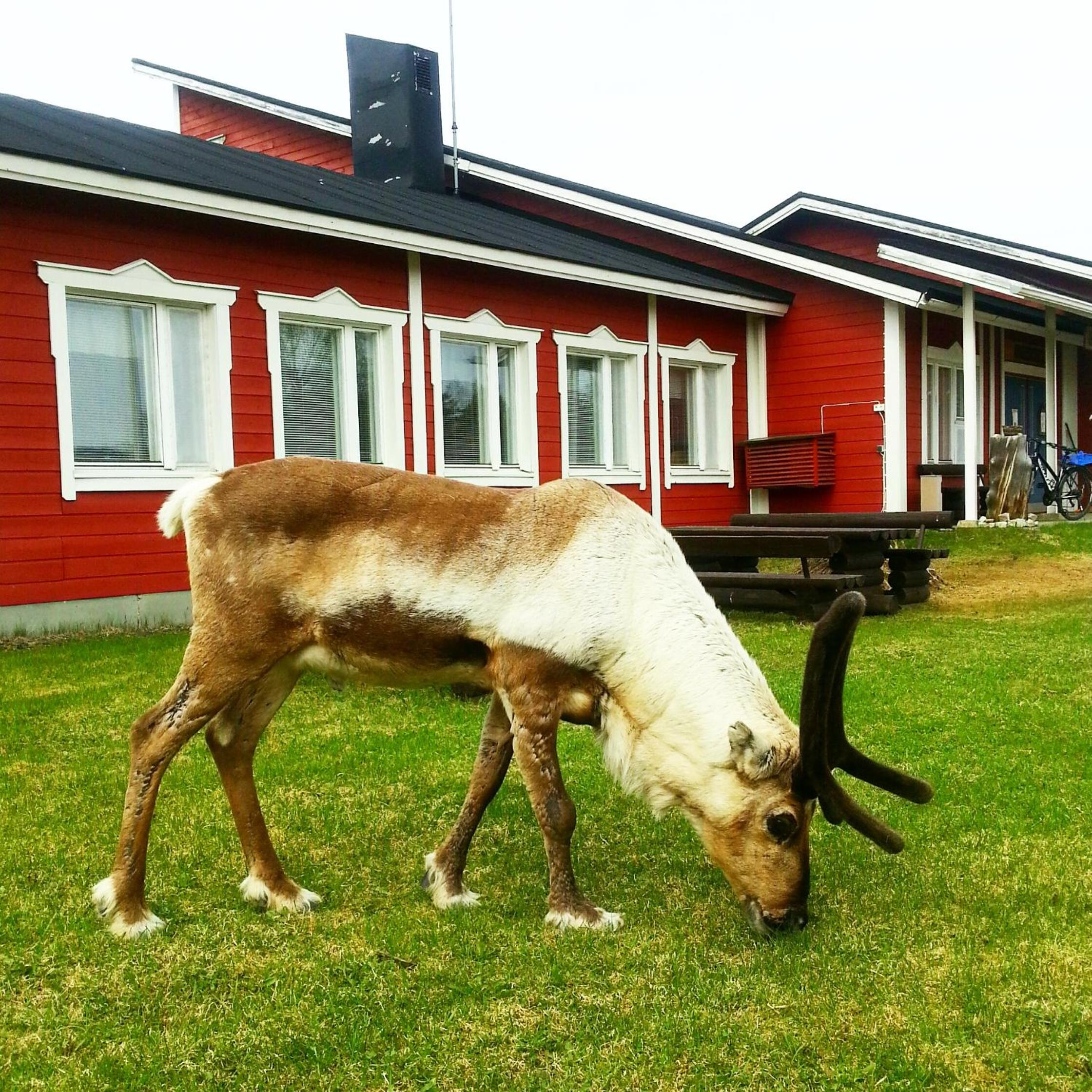 Hostel Sivakka