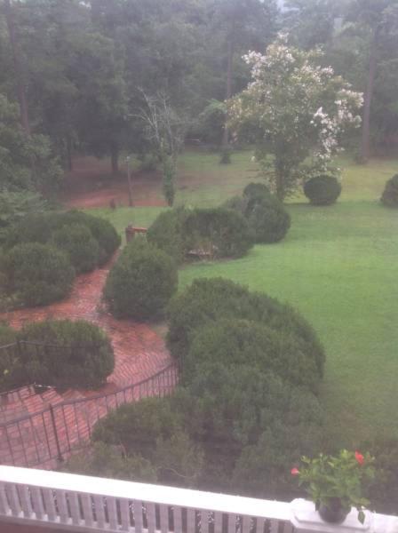 Photo 41