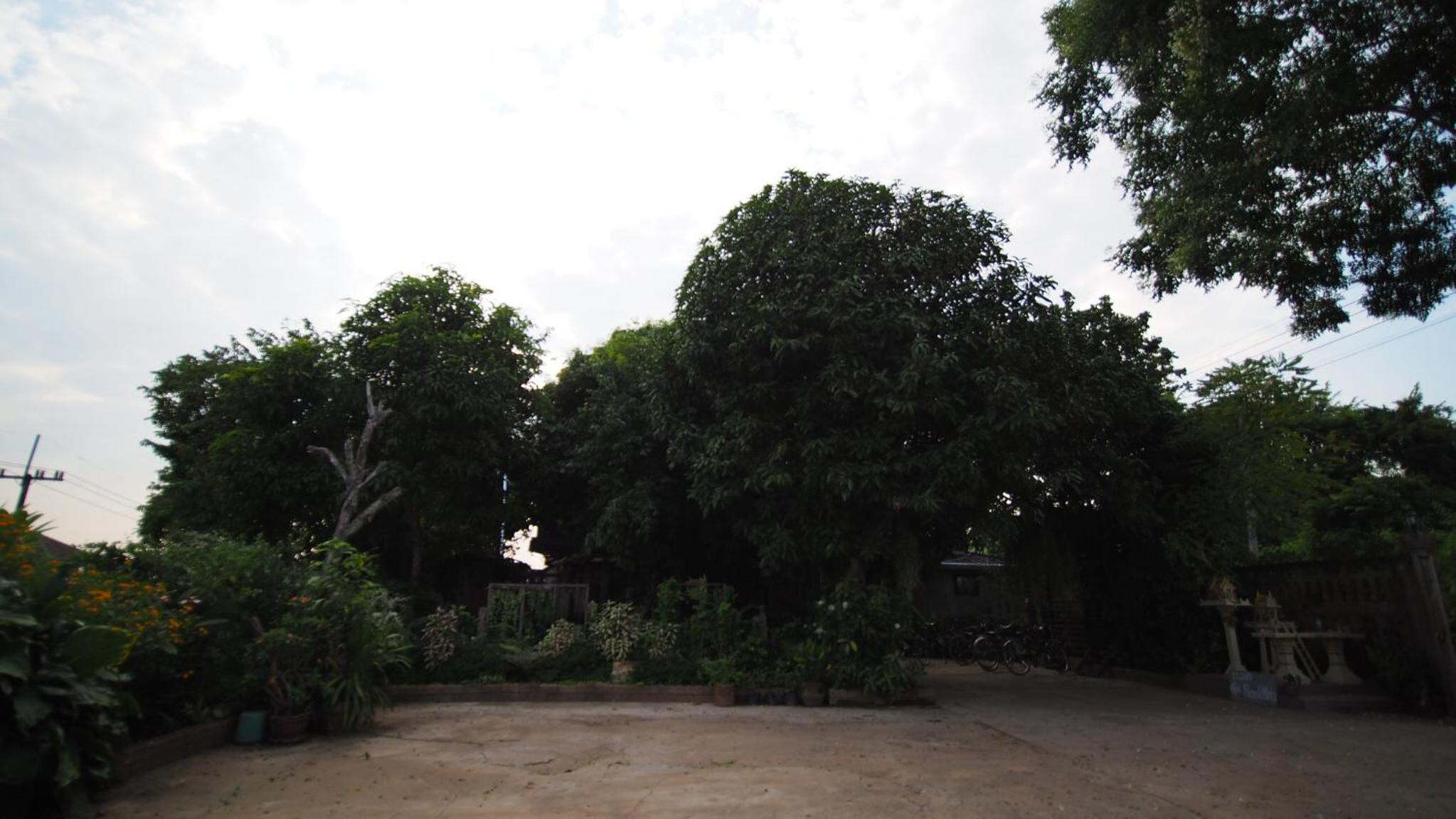 Pround Nan Cottage