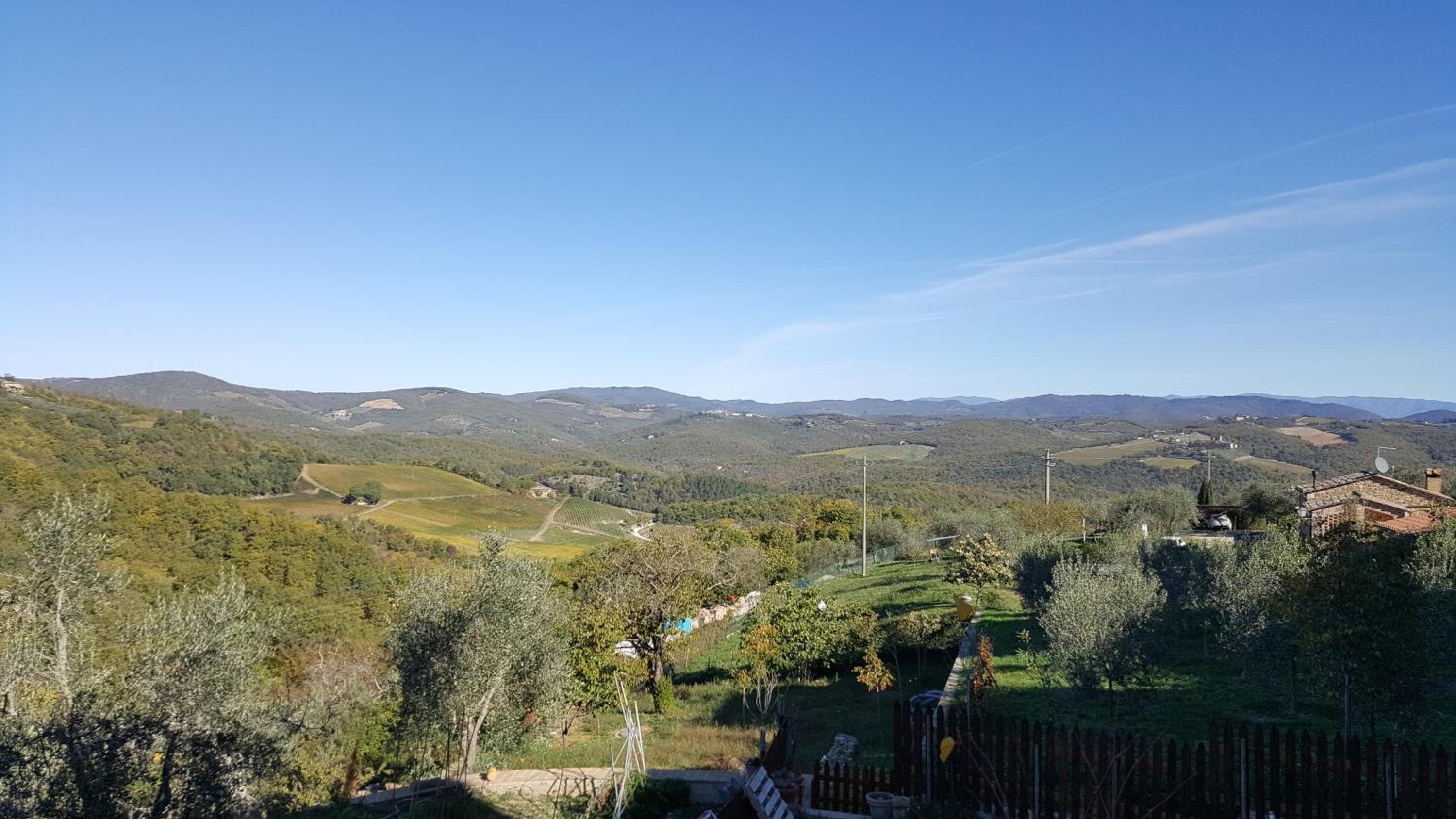 Babbo Rino view 4