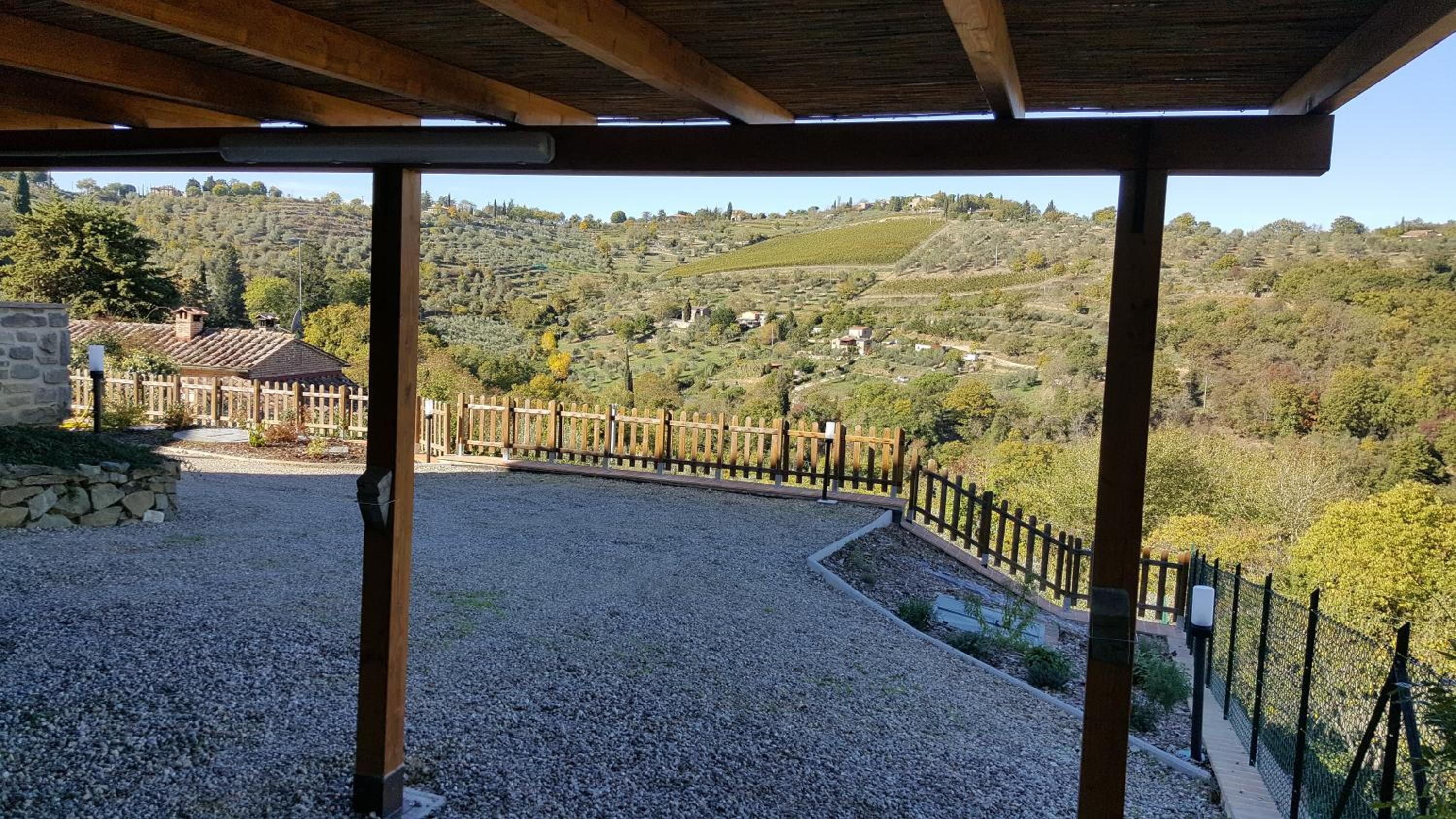 Babbo Rino view 5