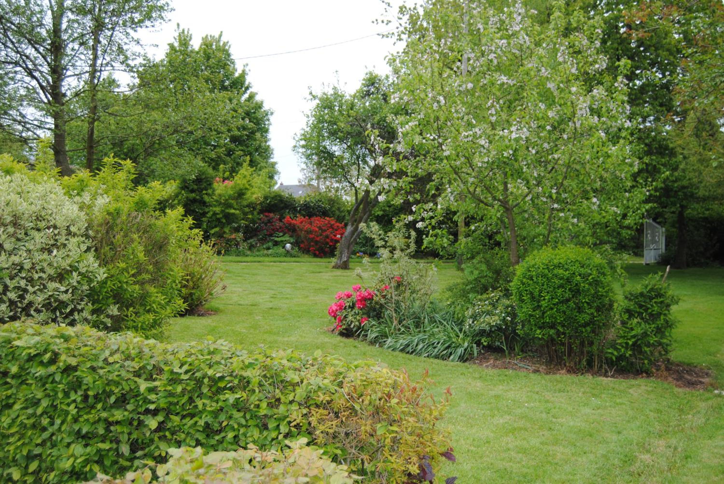 Photo 31
