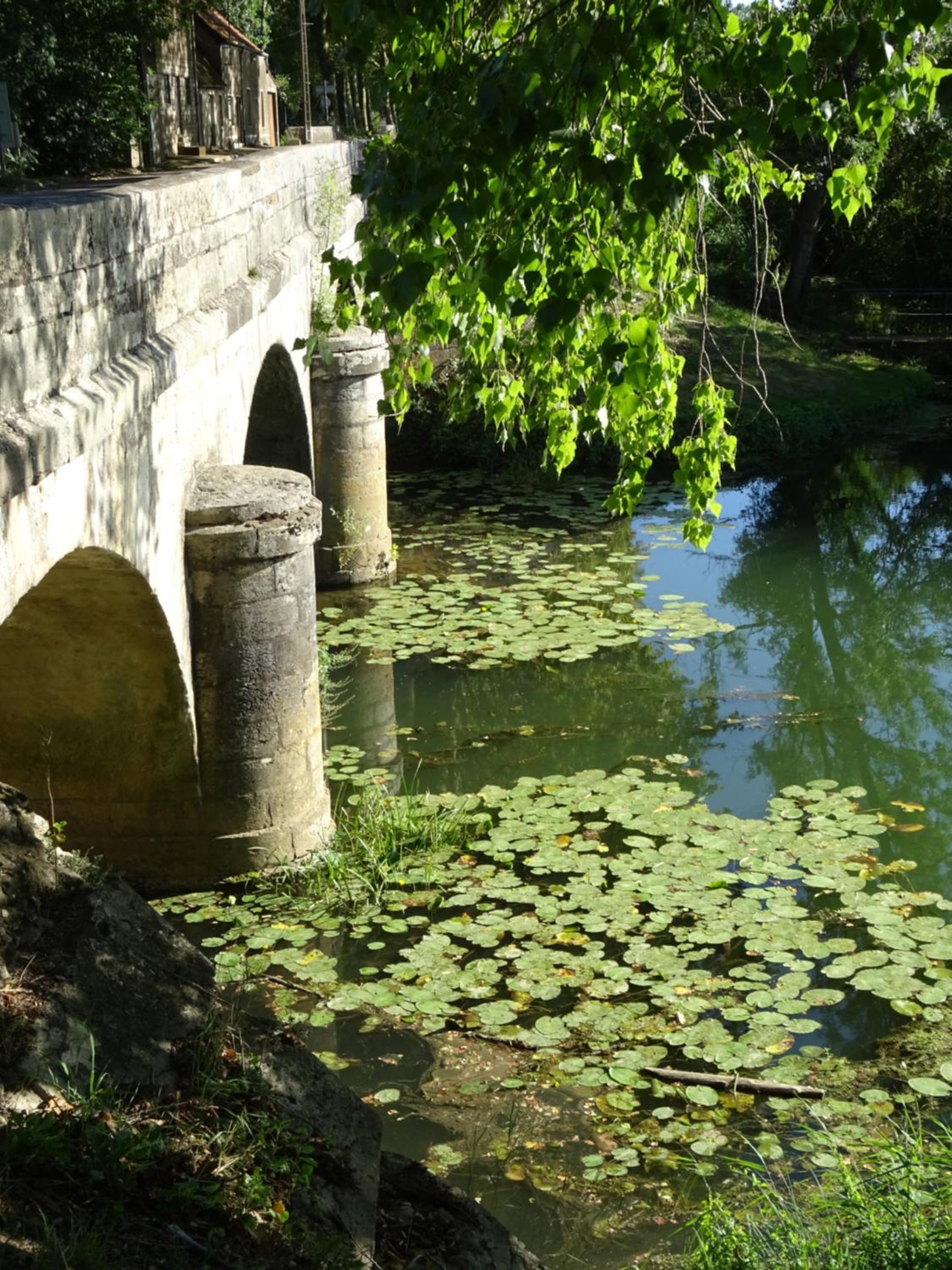 Photo 6