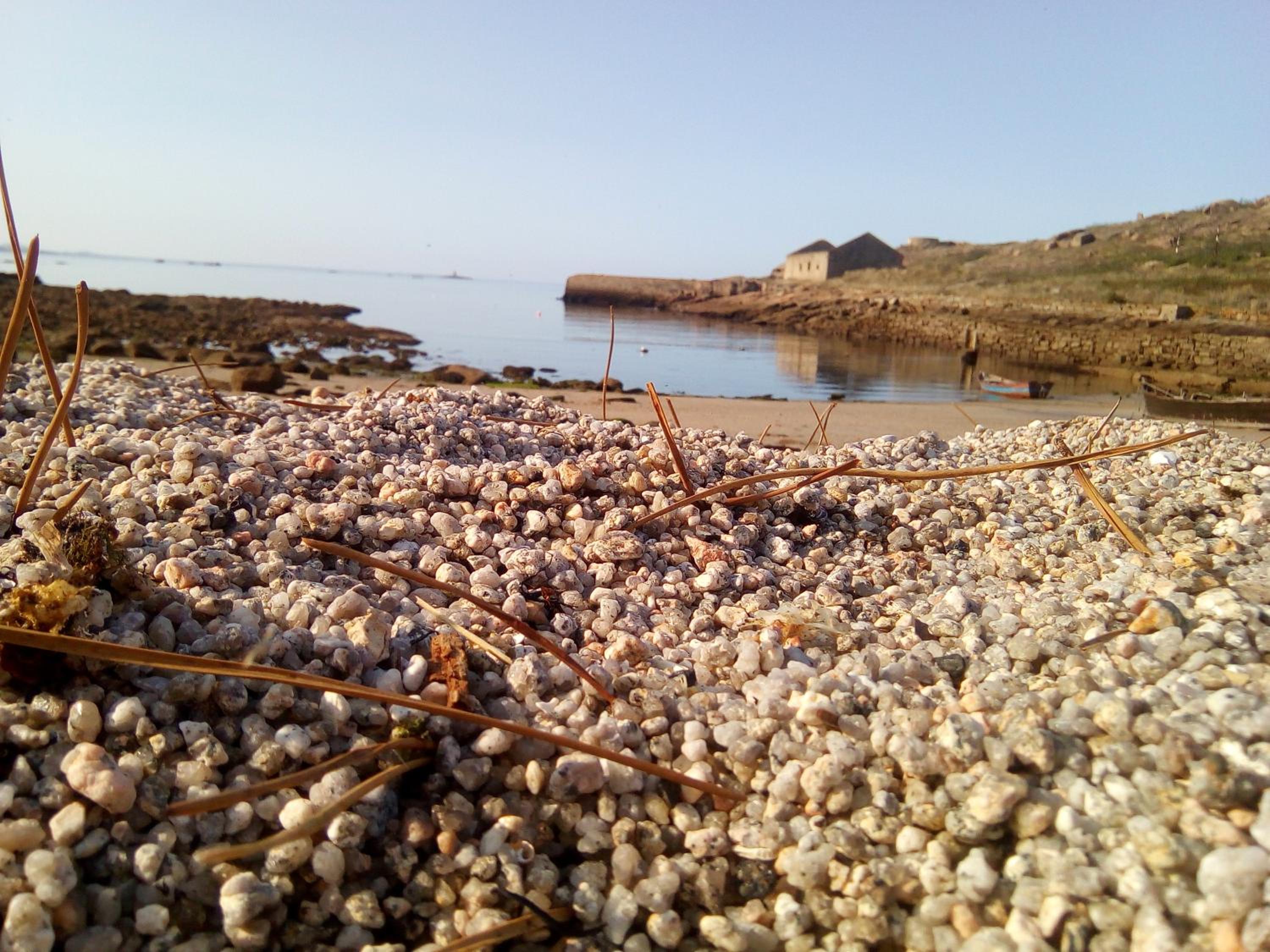 Photo 44