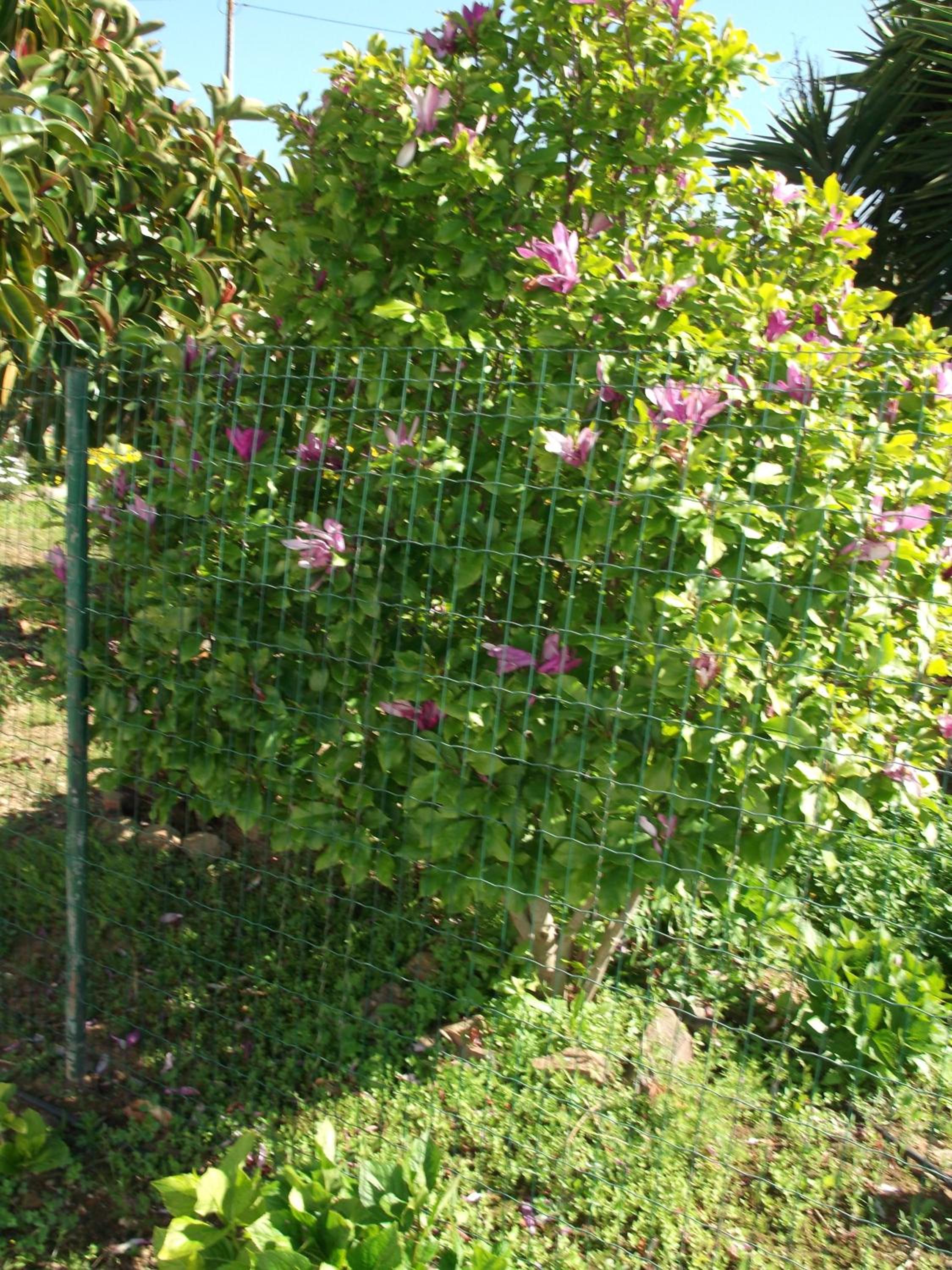 Photo 49