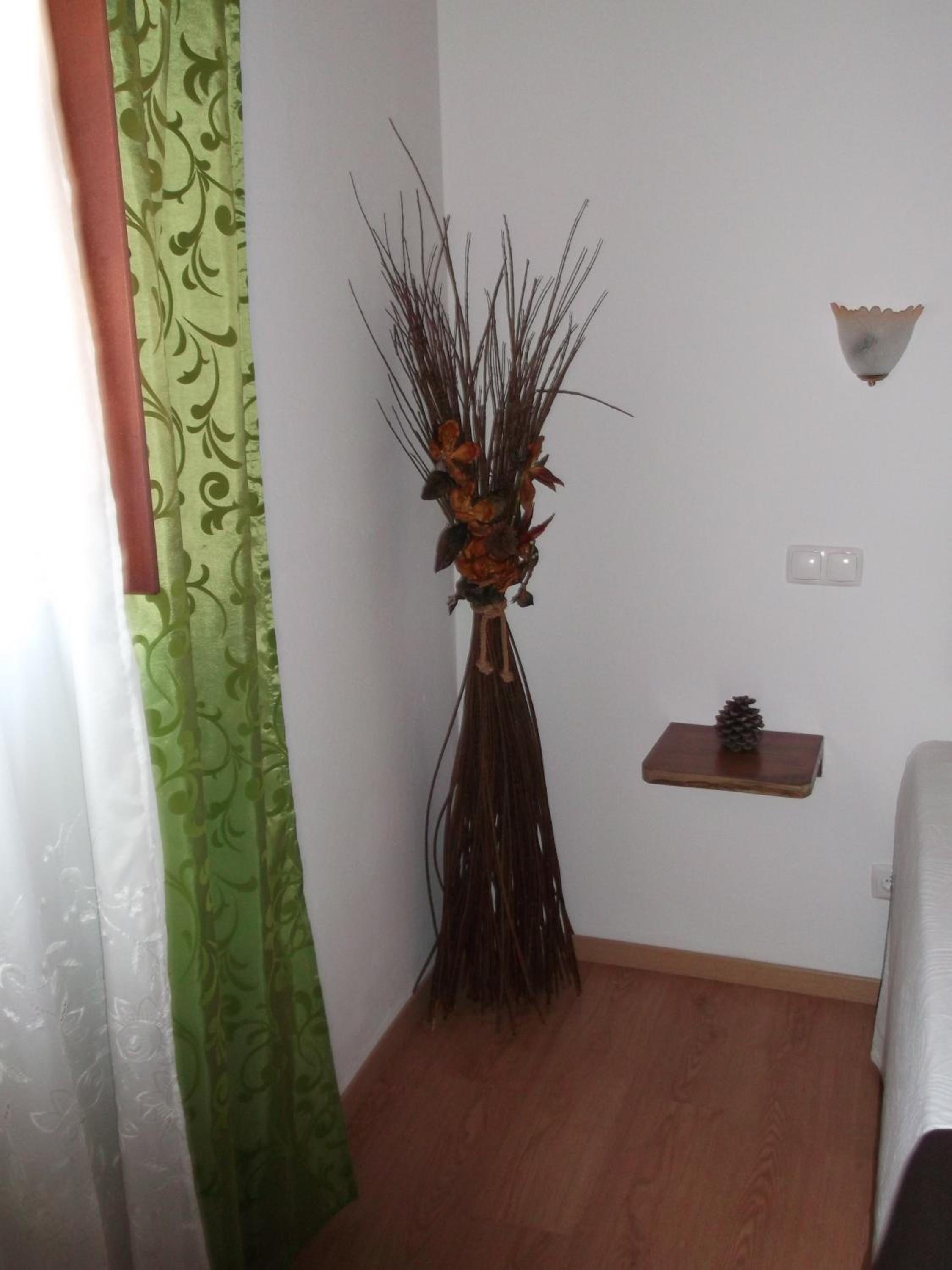 Photo 62