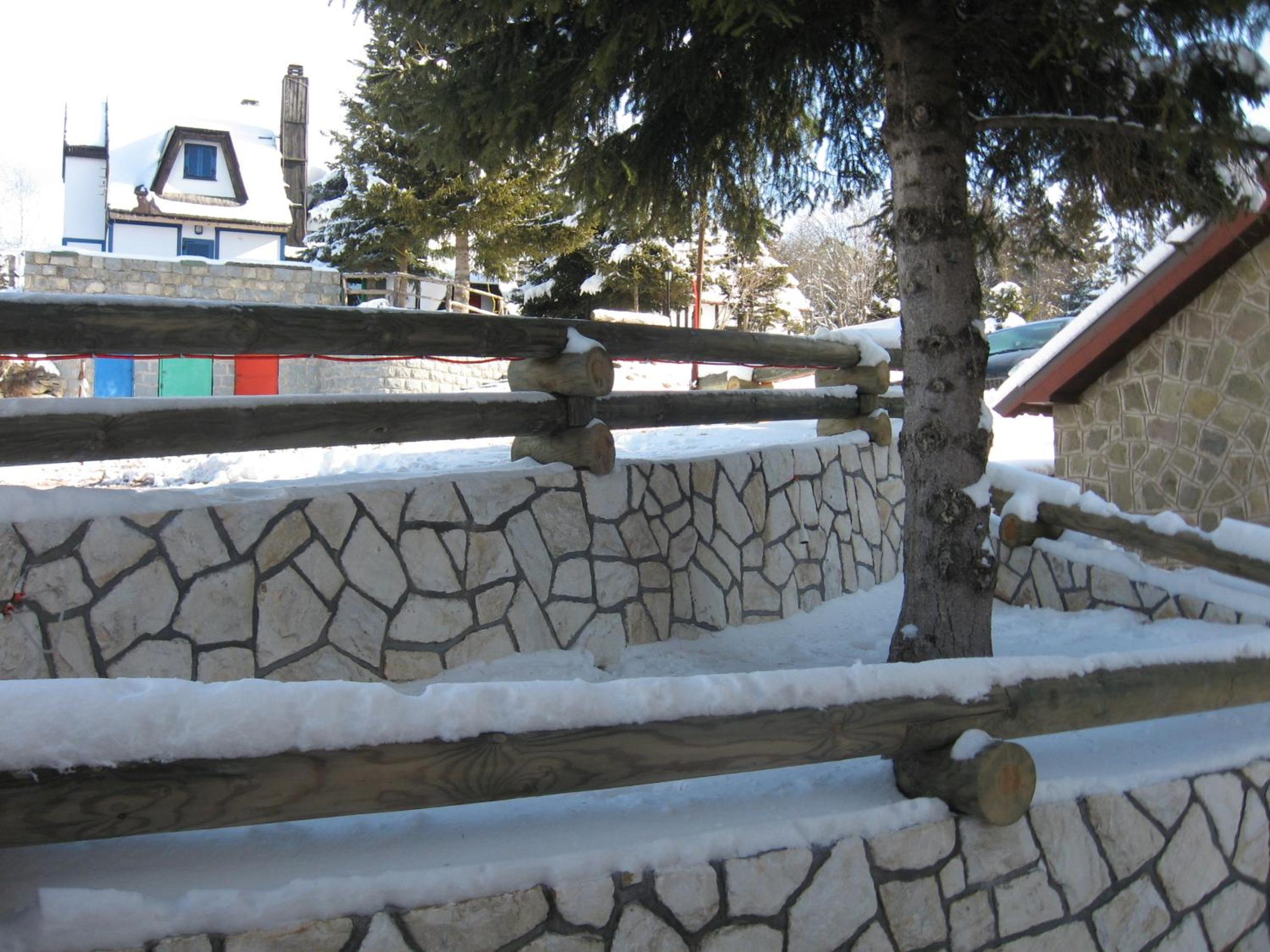 Photo 21