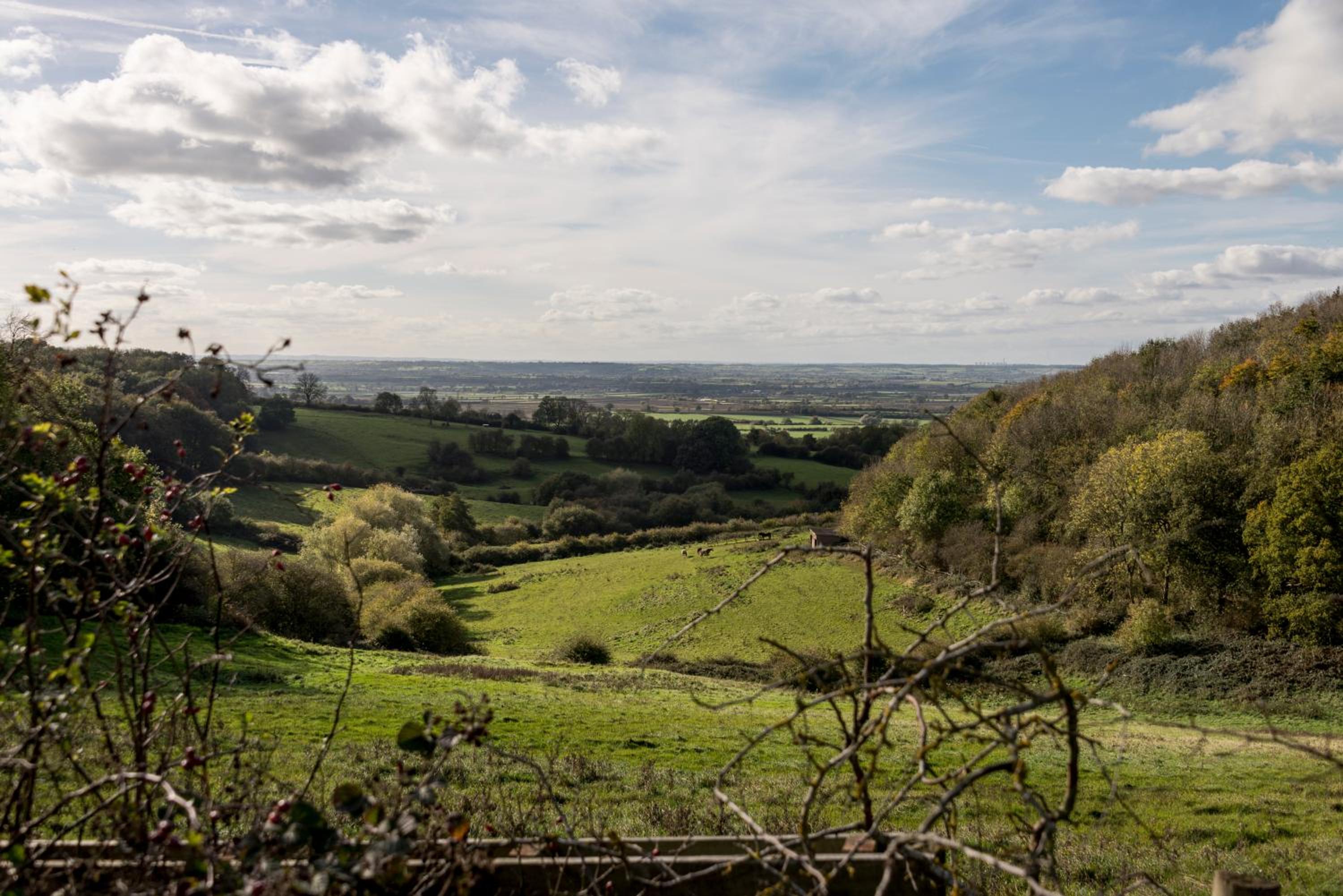 The Old Nurseries B & B view 5