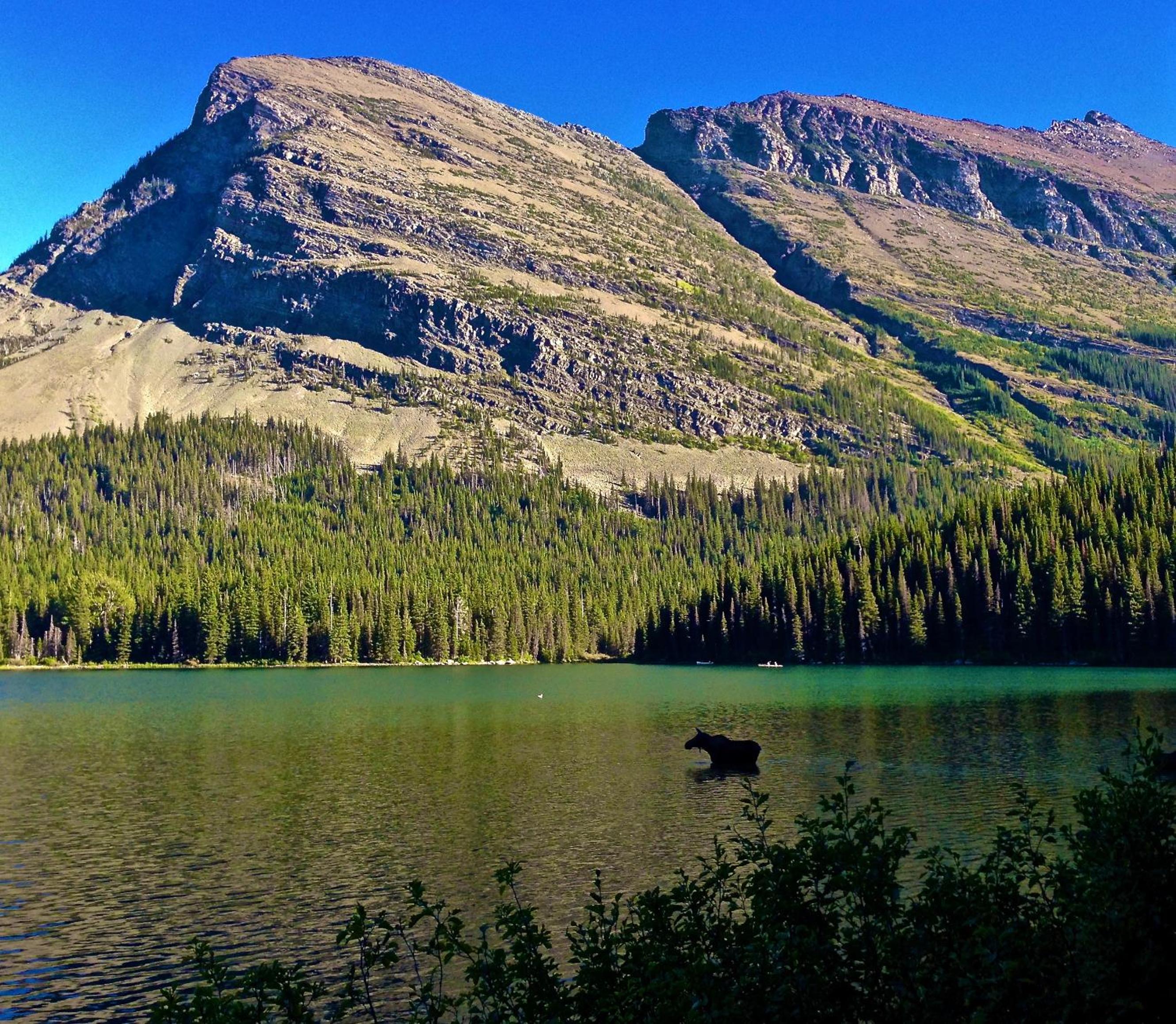 Great Northern Resort