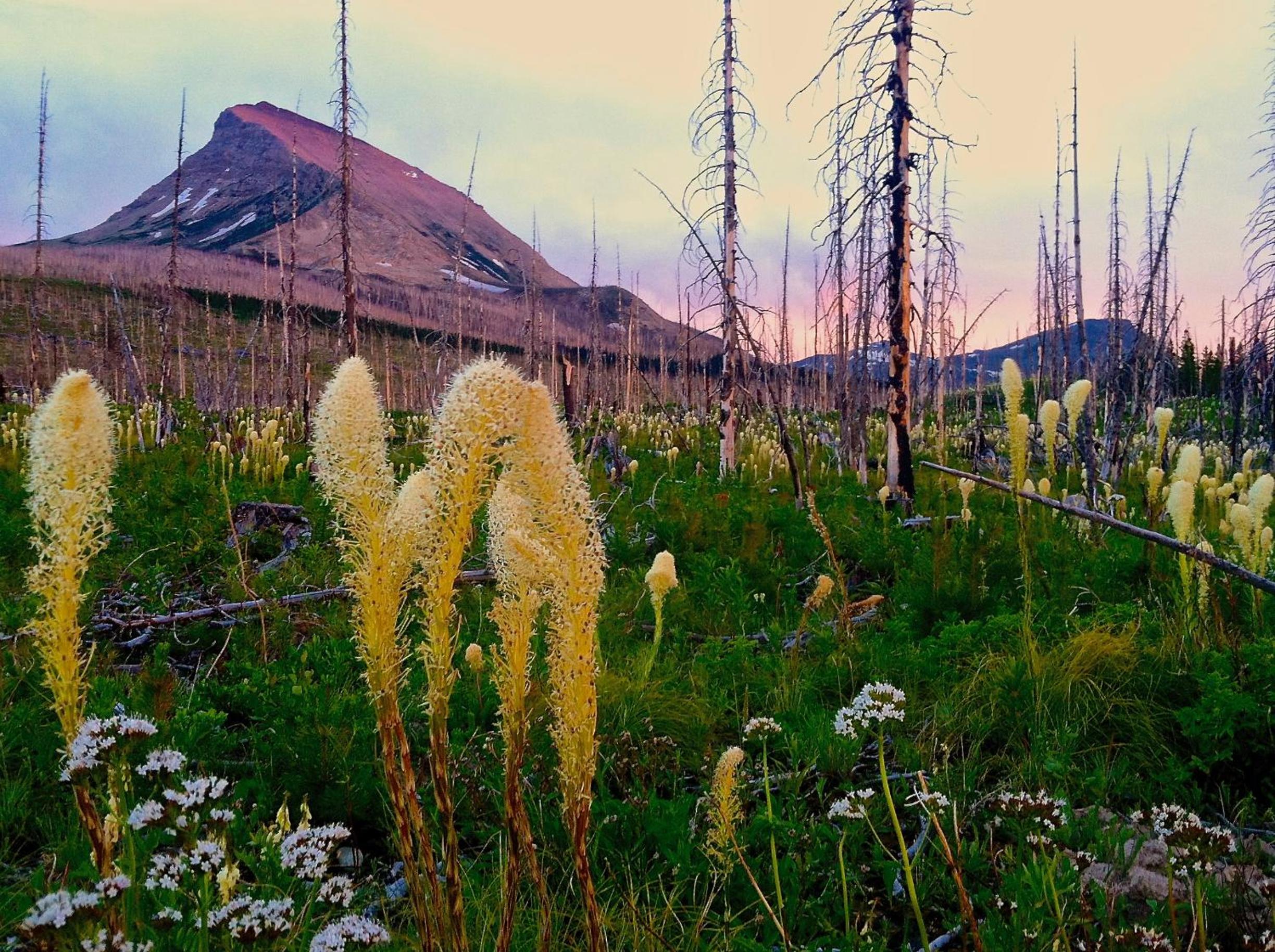 Great Northern Resort