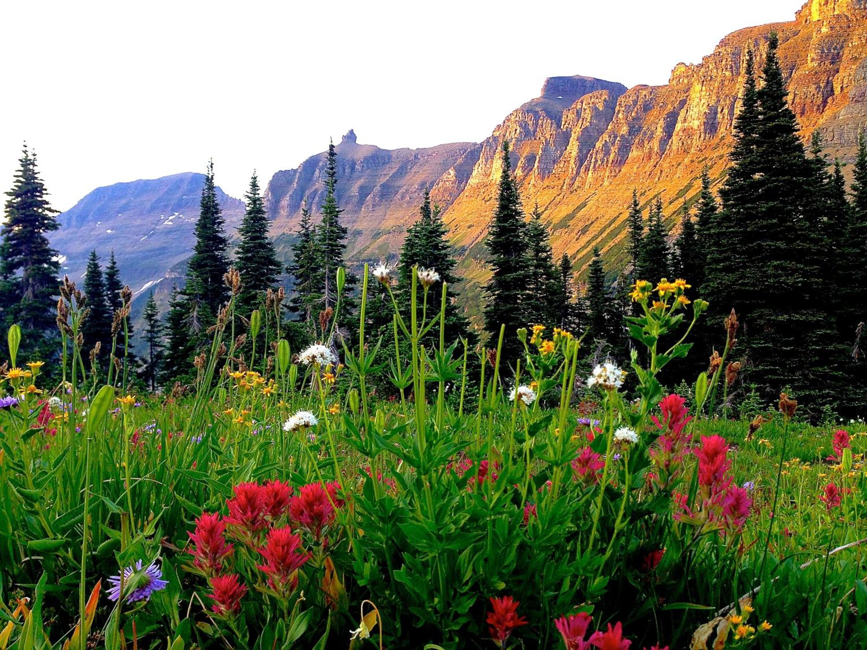 Great Northern Resort