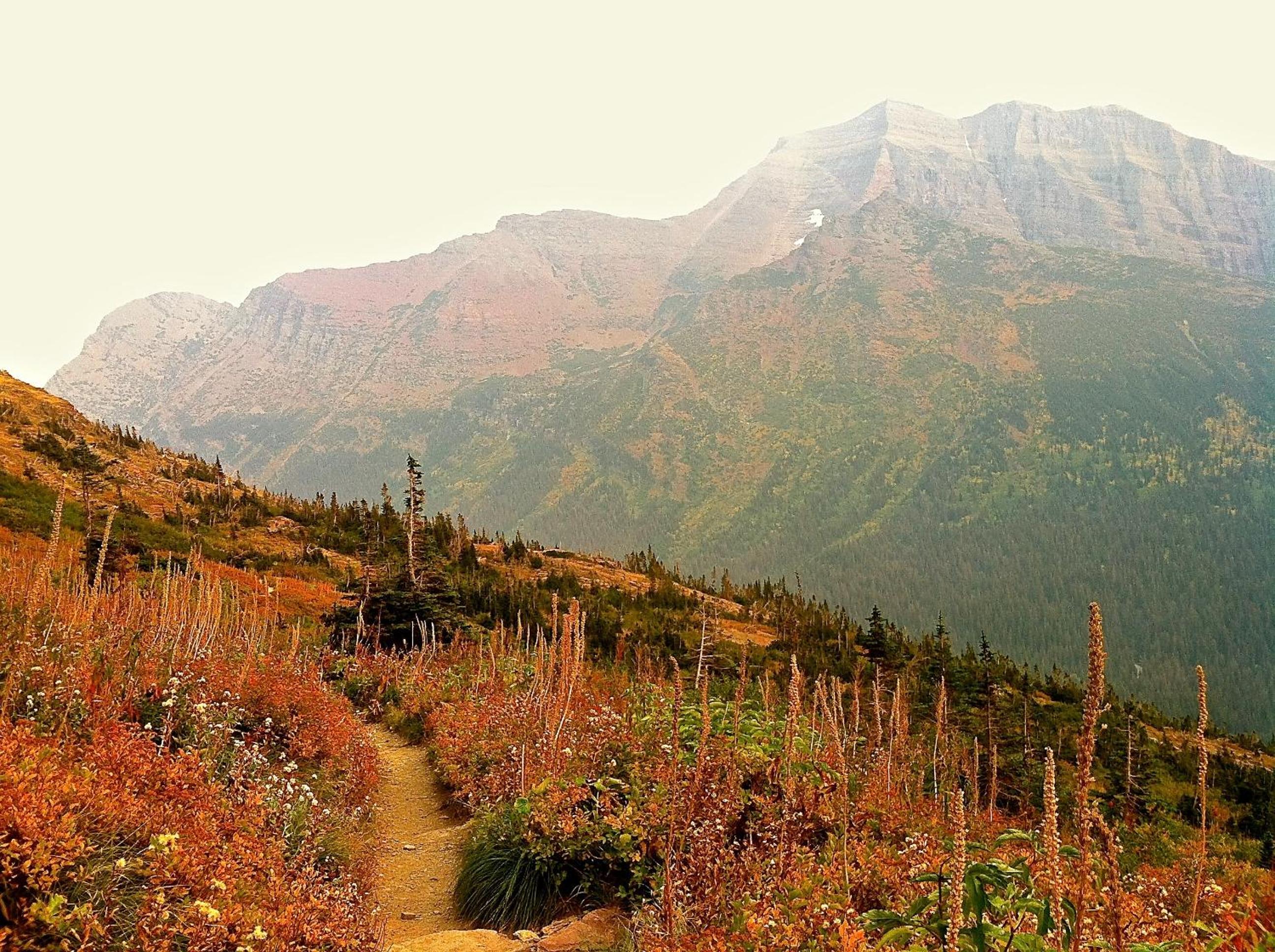 Great Northern Resort
