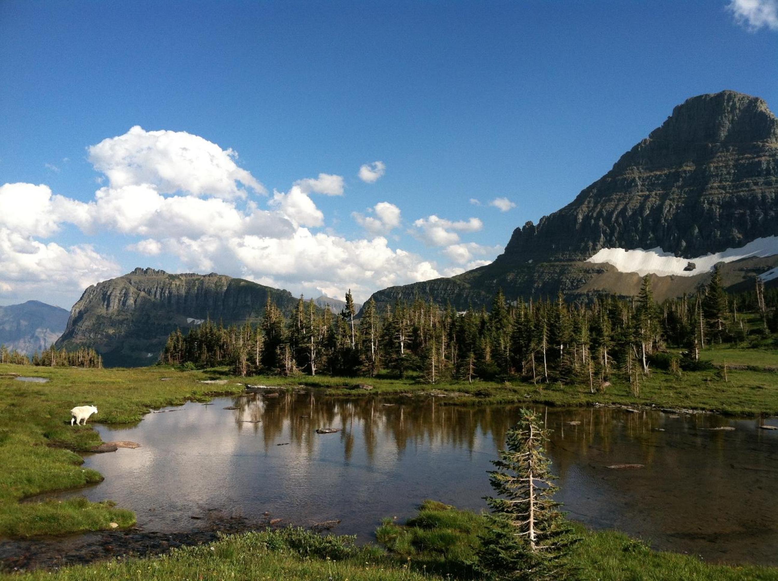 Great Northern Resort
