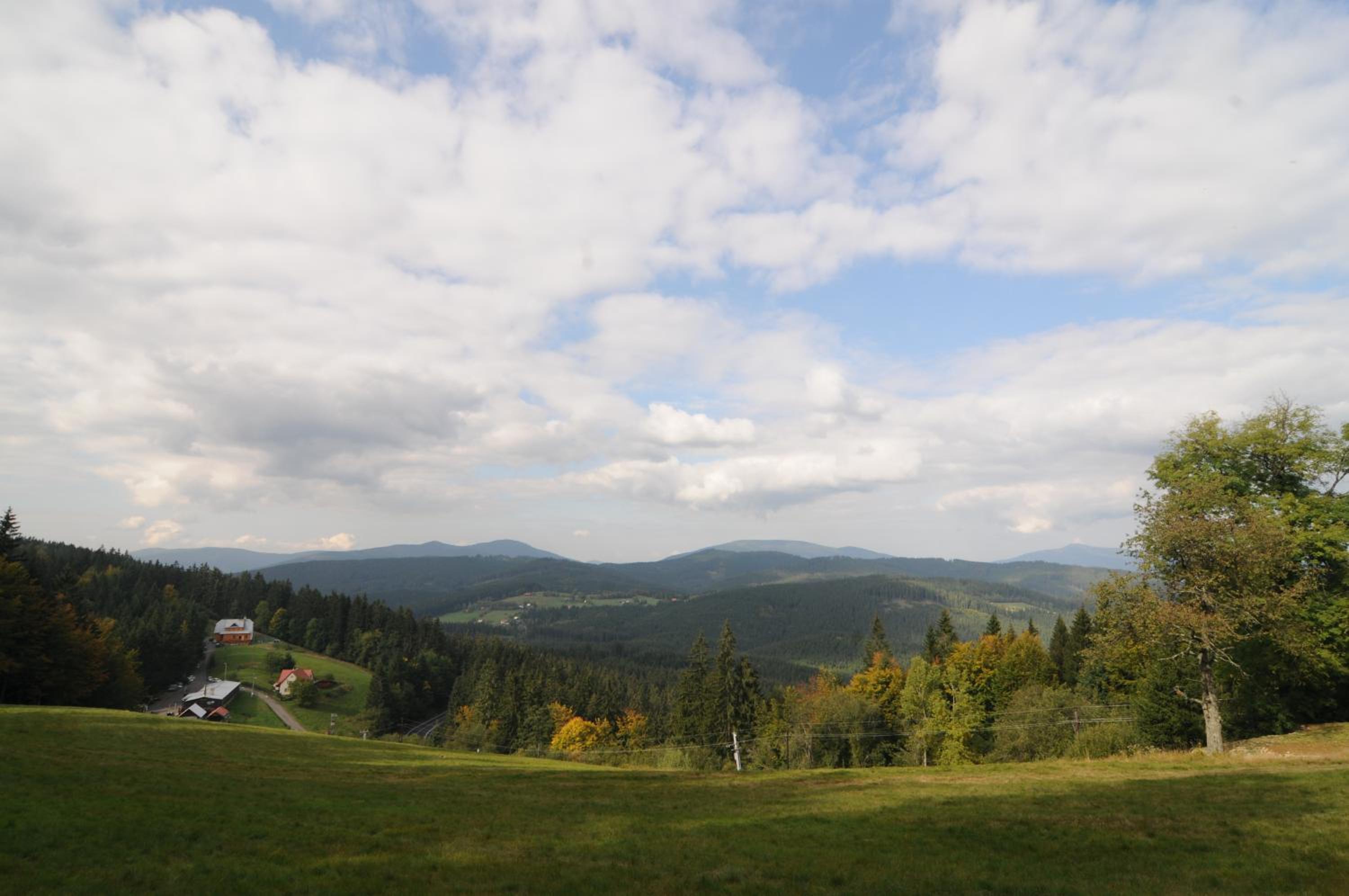 Photo 43