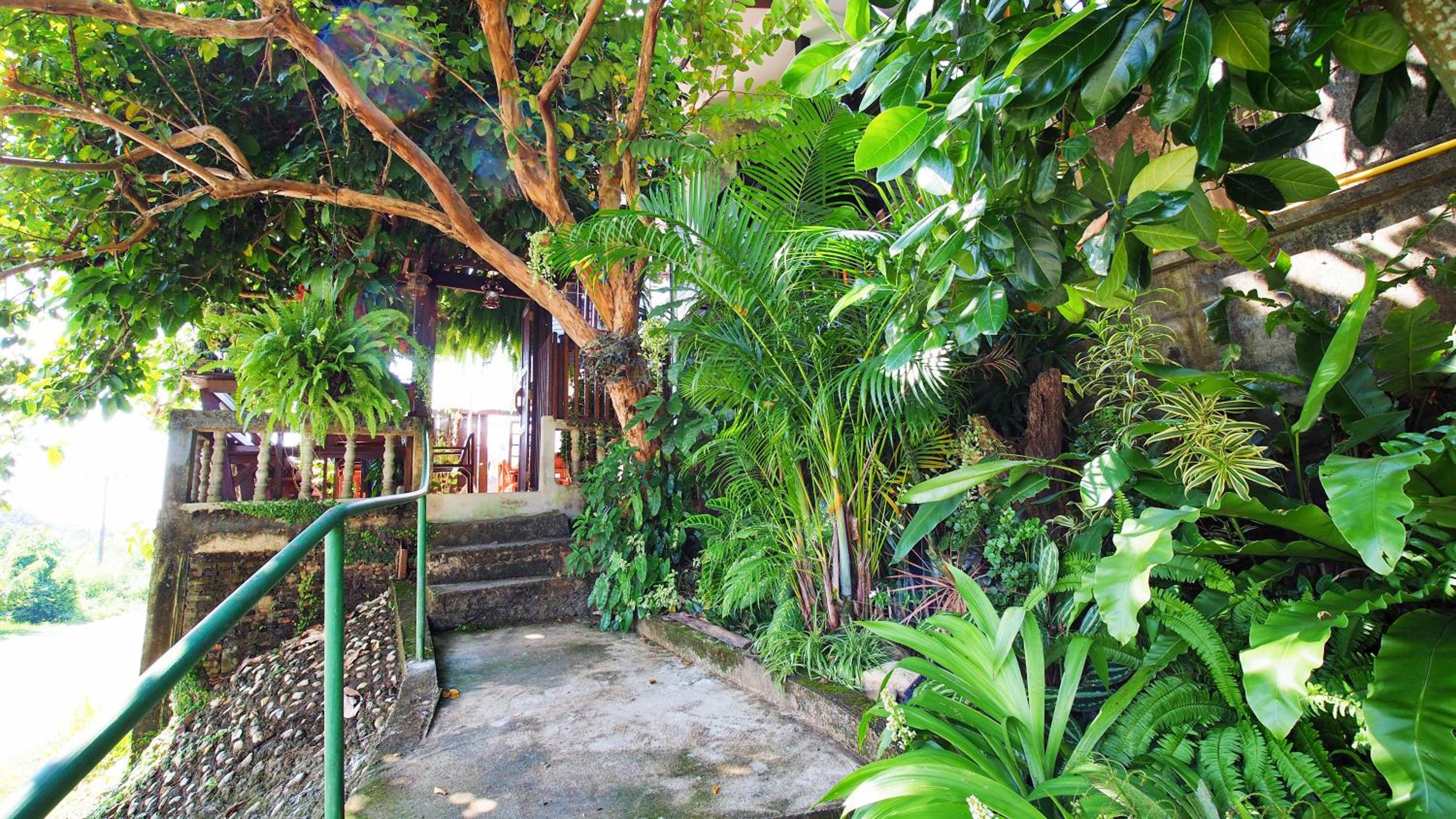Pround Nan Cottage
