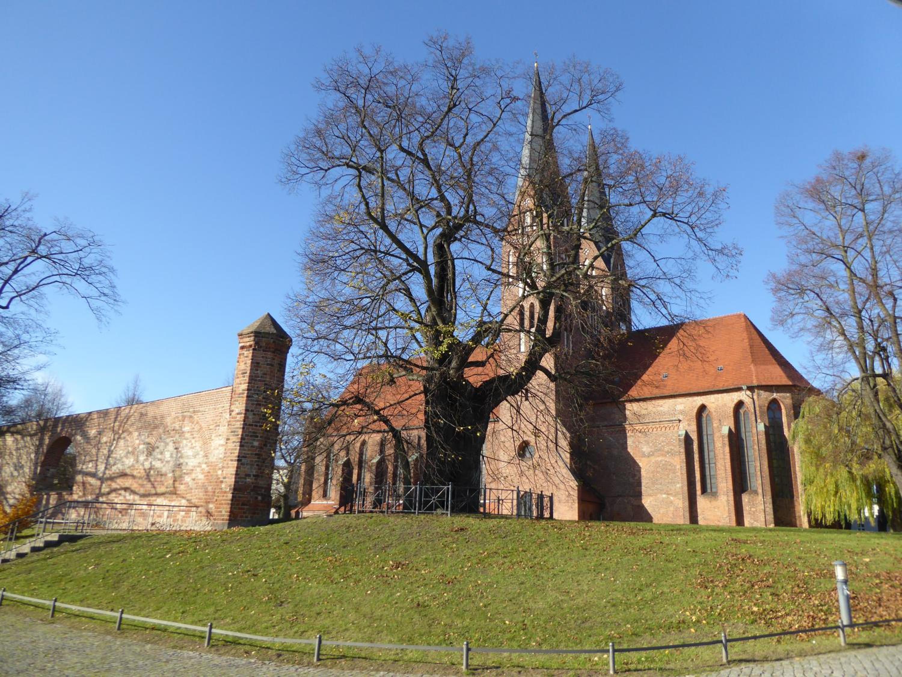 Photo 46