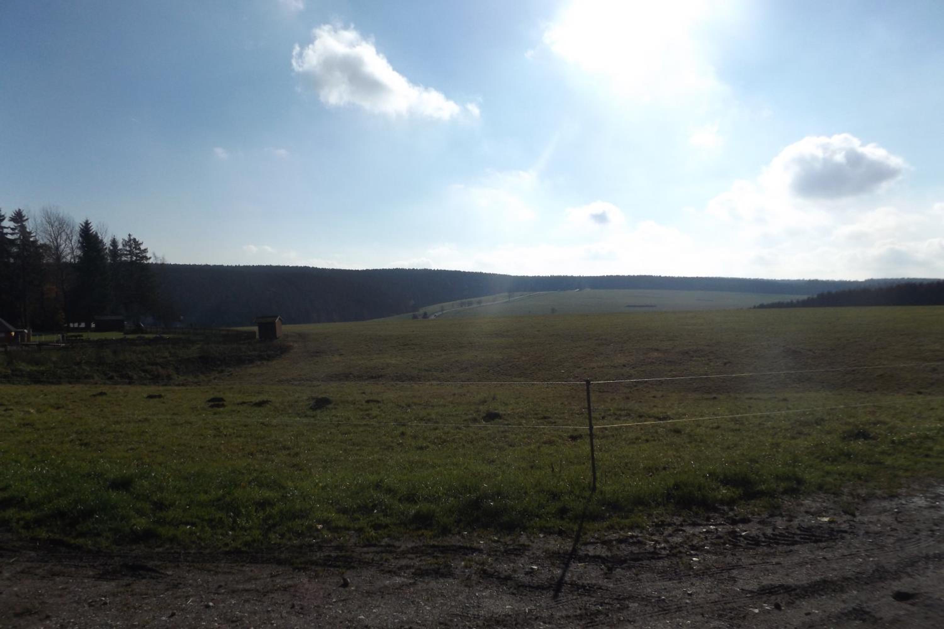 other