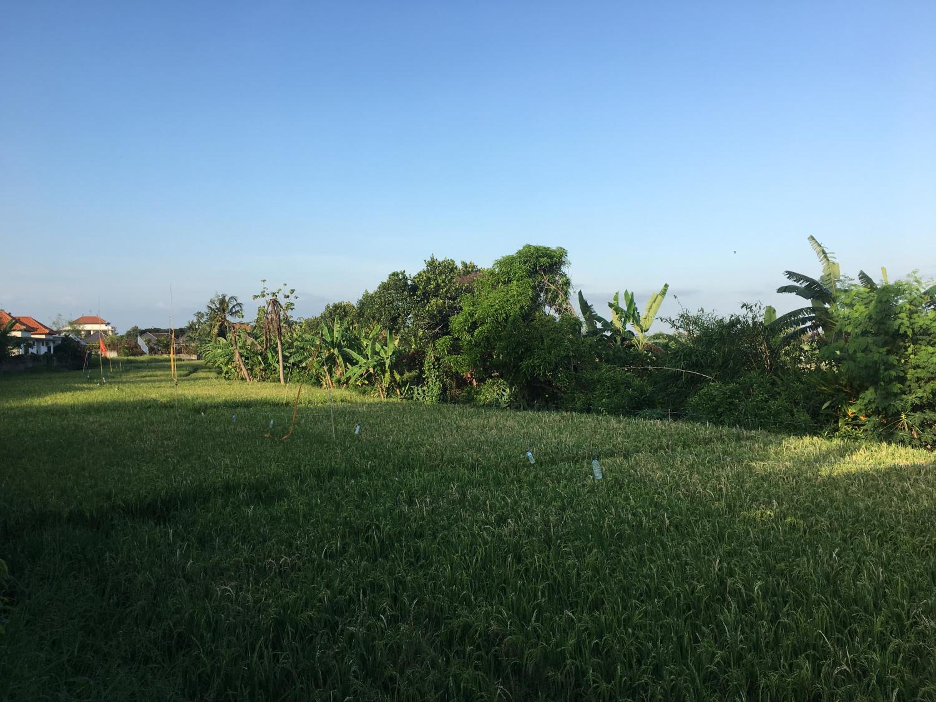 Photo 43