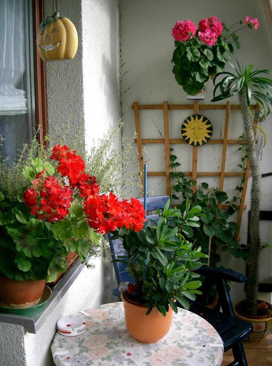 2-Zimmer-Ferienwohnung 