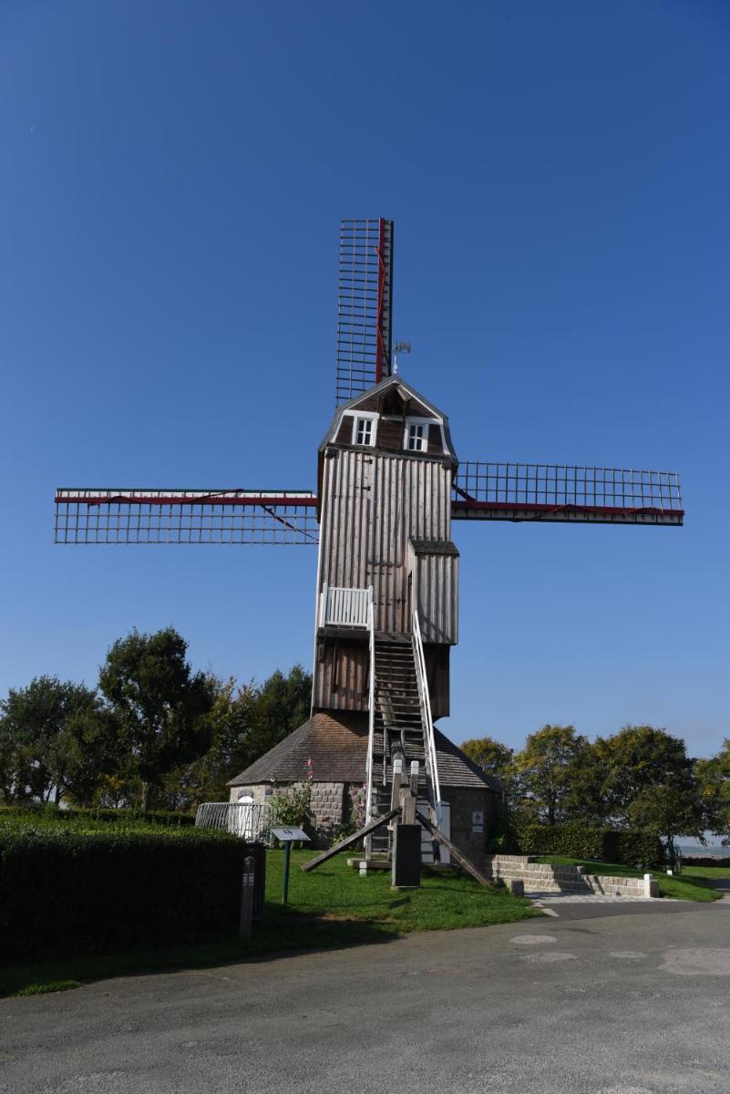 Photo 19
