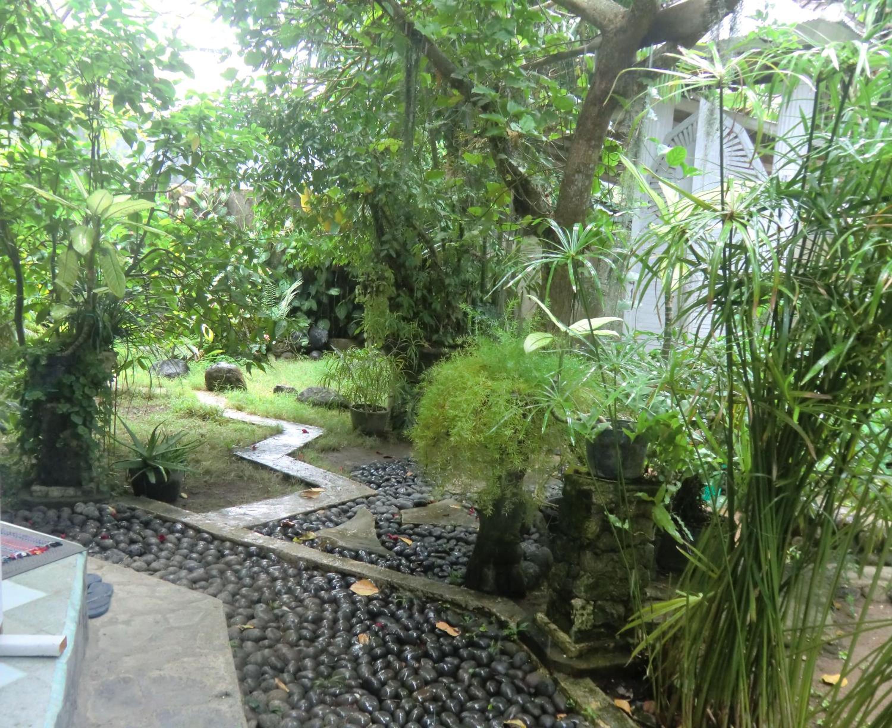 Shady Grove Healing Centre & Homestay w house rules please read before booking