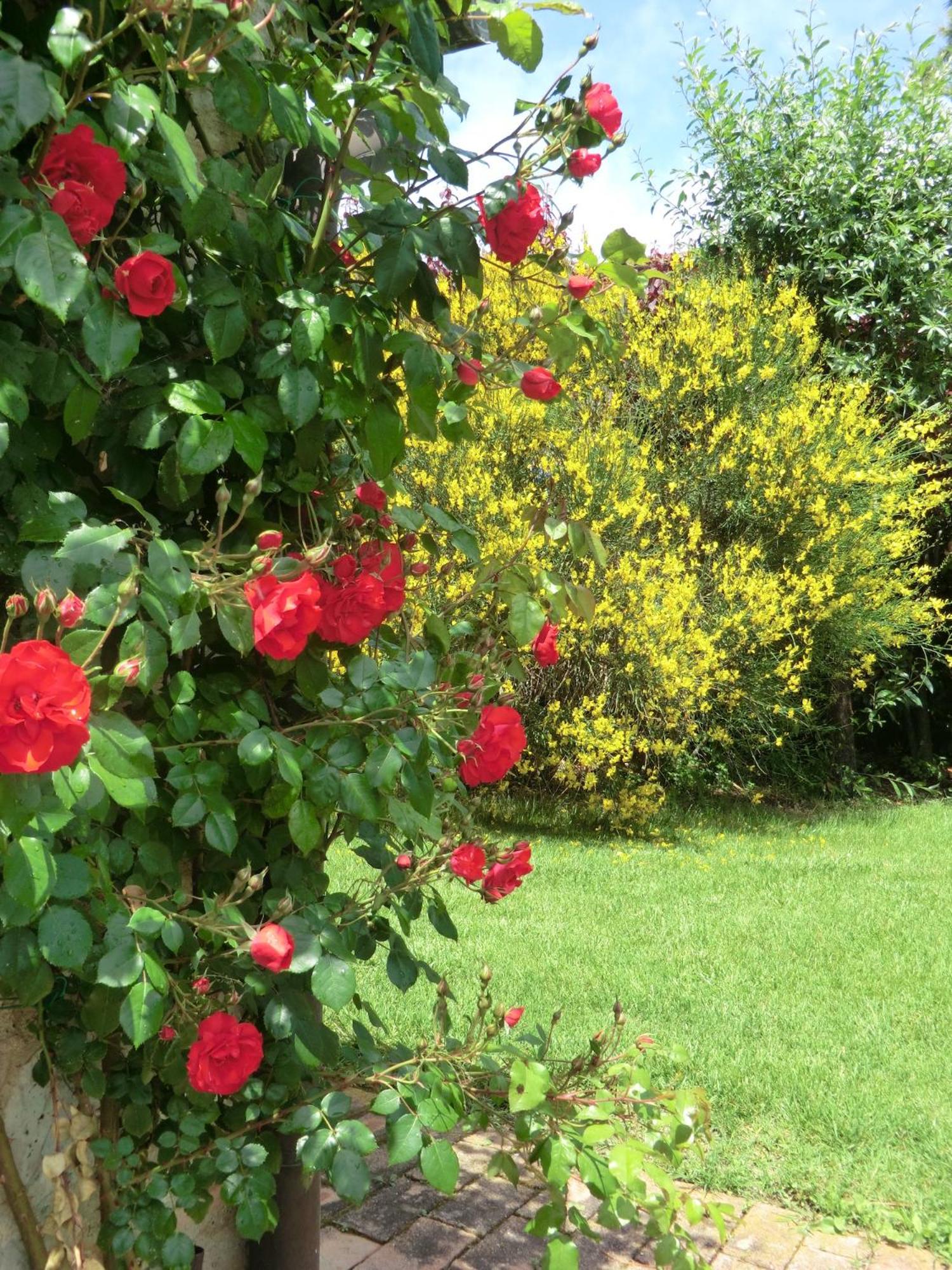 Photo 21
