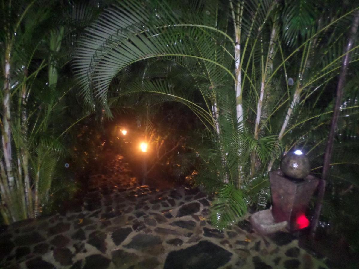 Photo 34