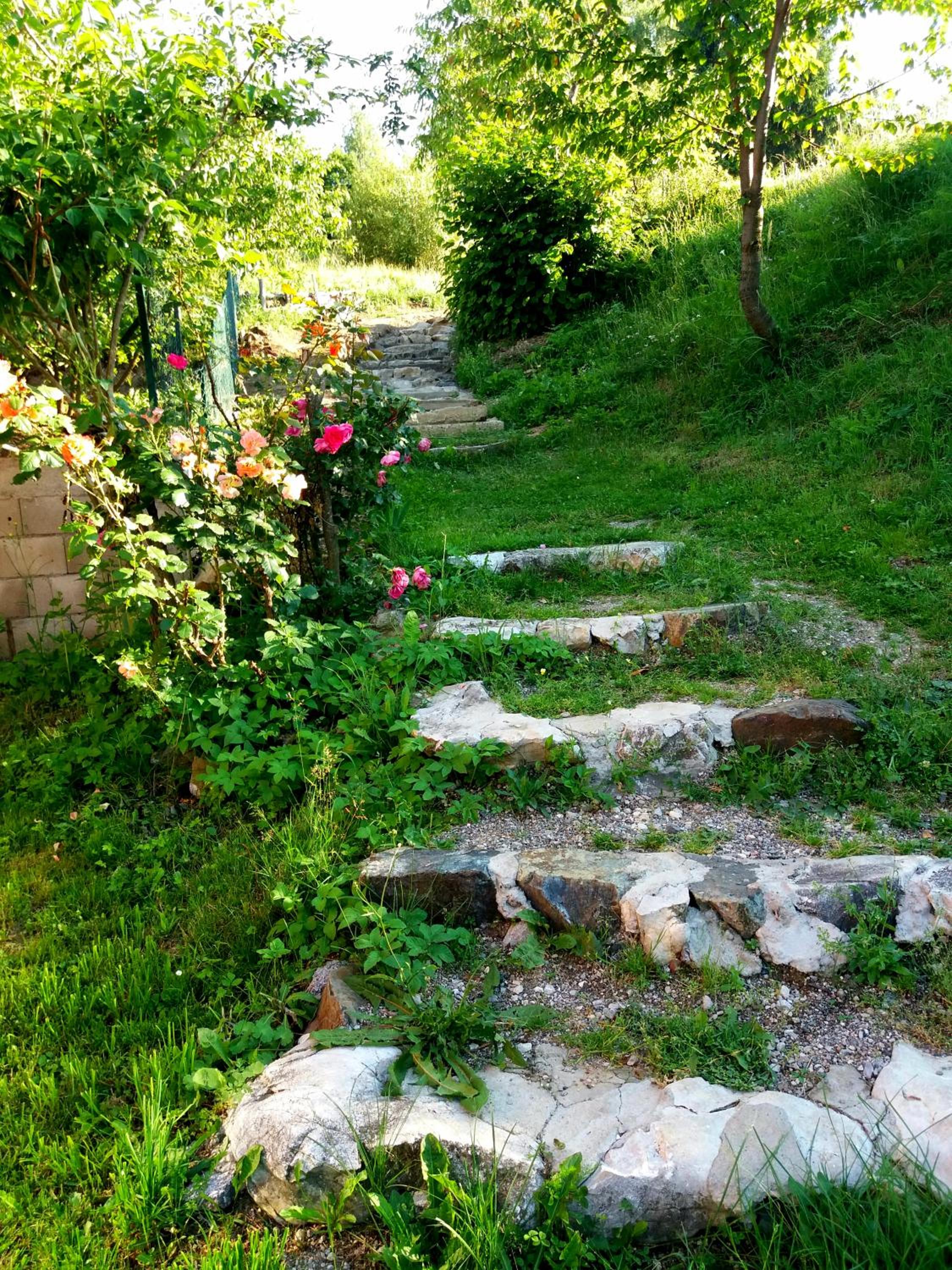 Photo 11