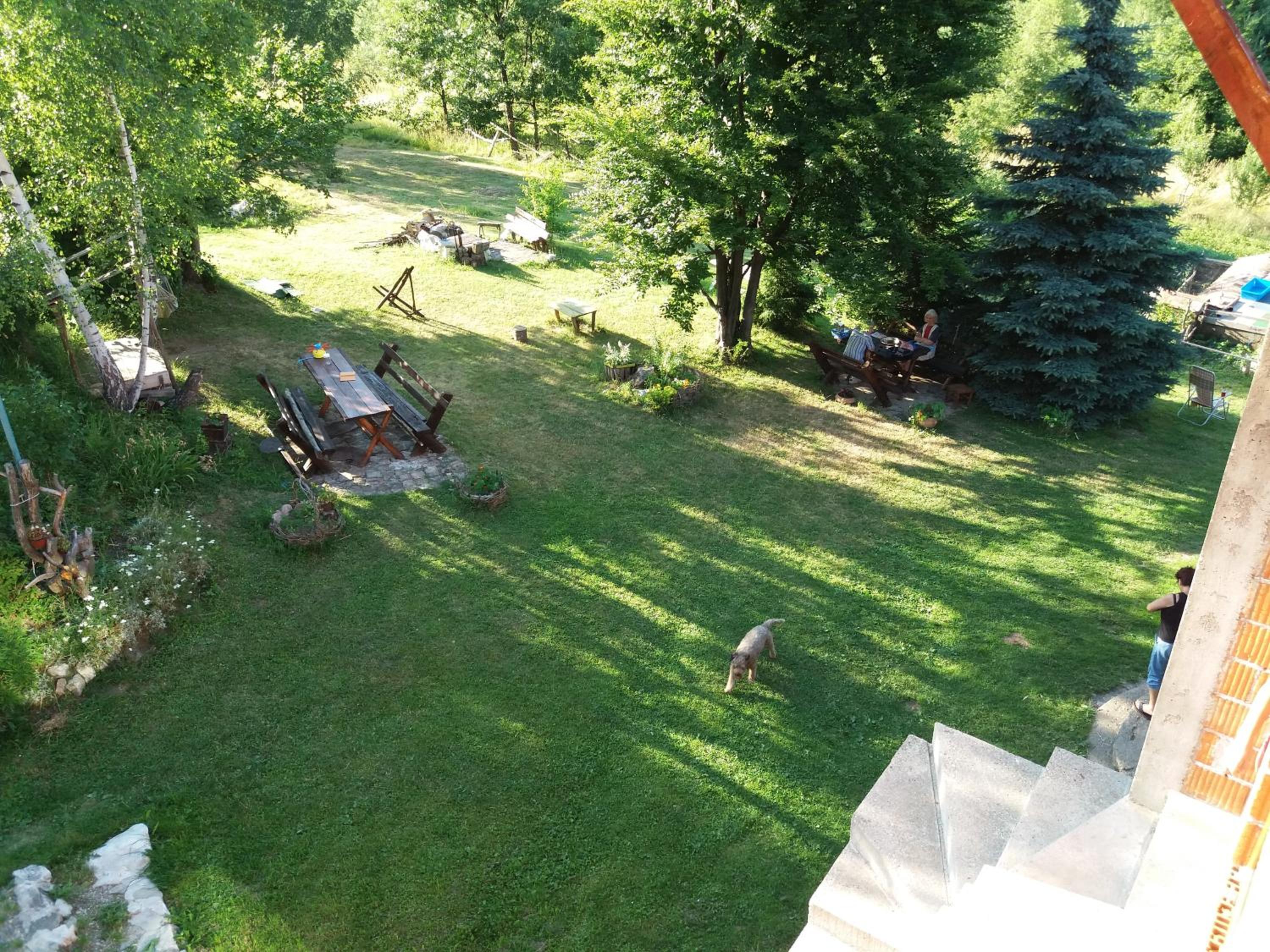 Photo 12