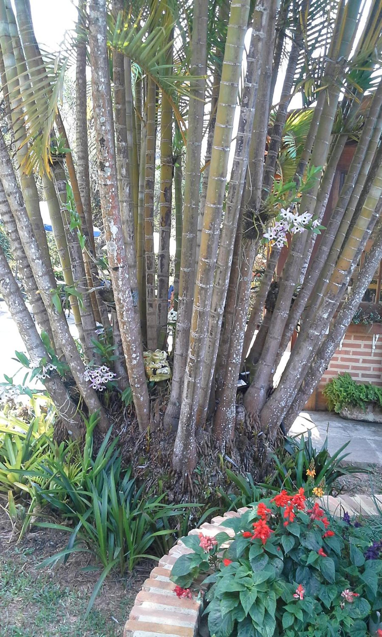 Photo 26