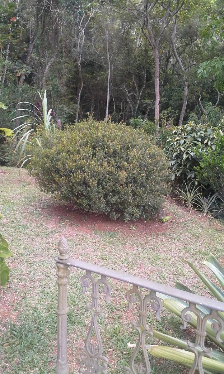 Photo 27