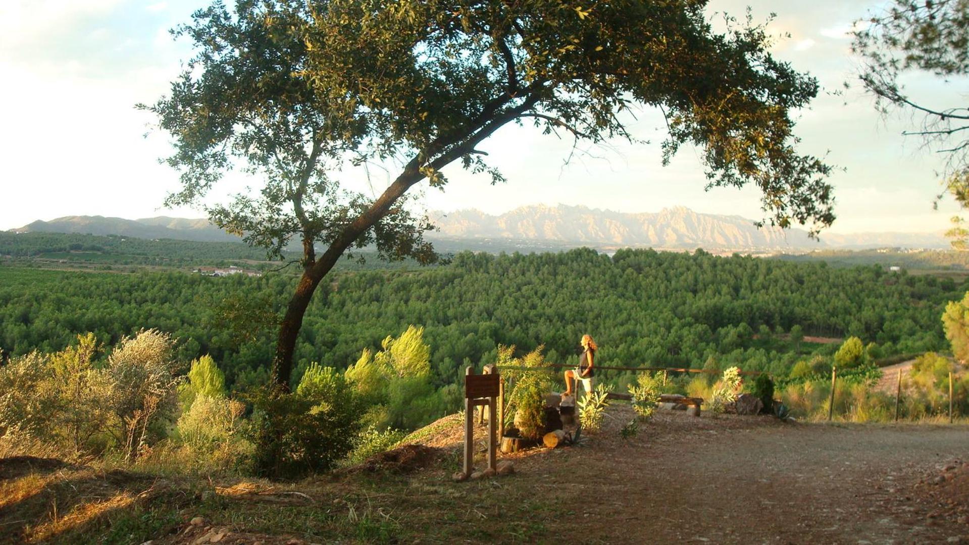 Comarquinal Bioresort Penedes