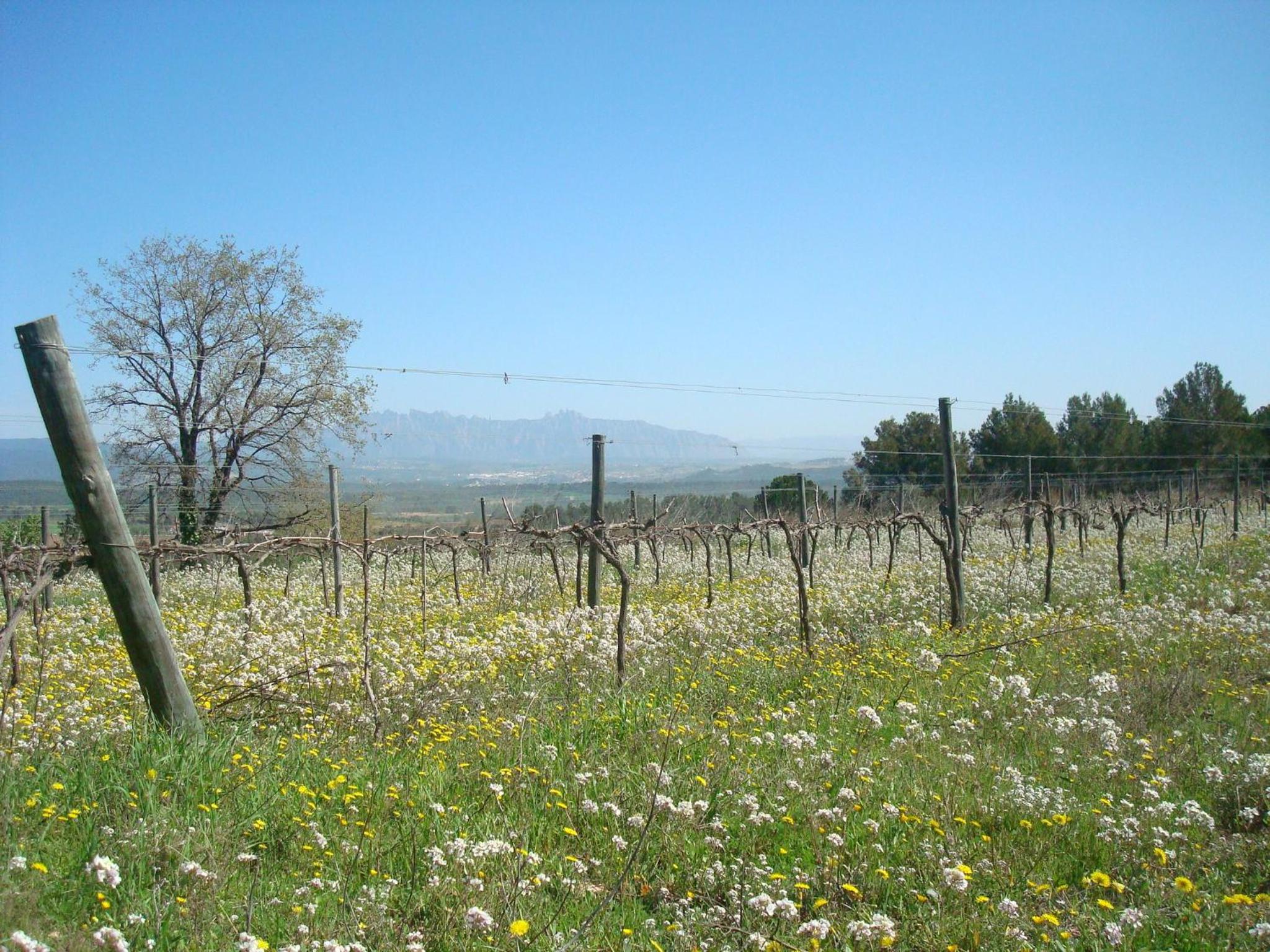 Comarquinal Bioresort Penedes