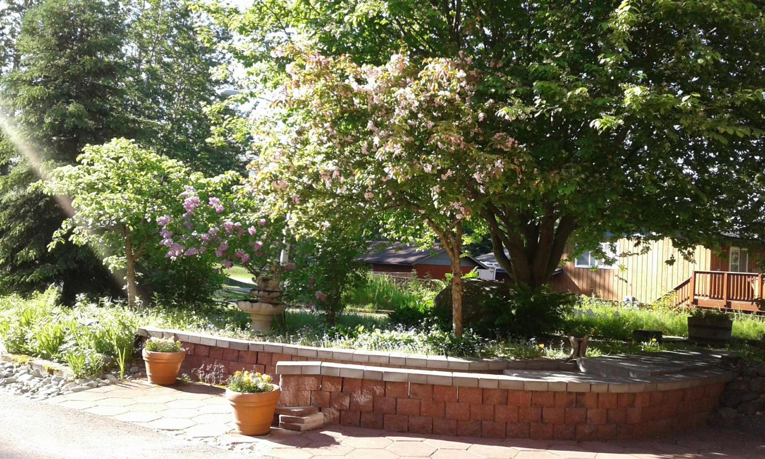 Photo 44