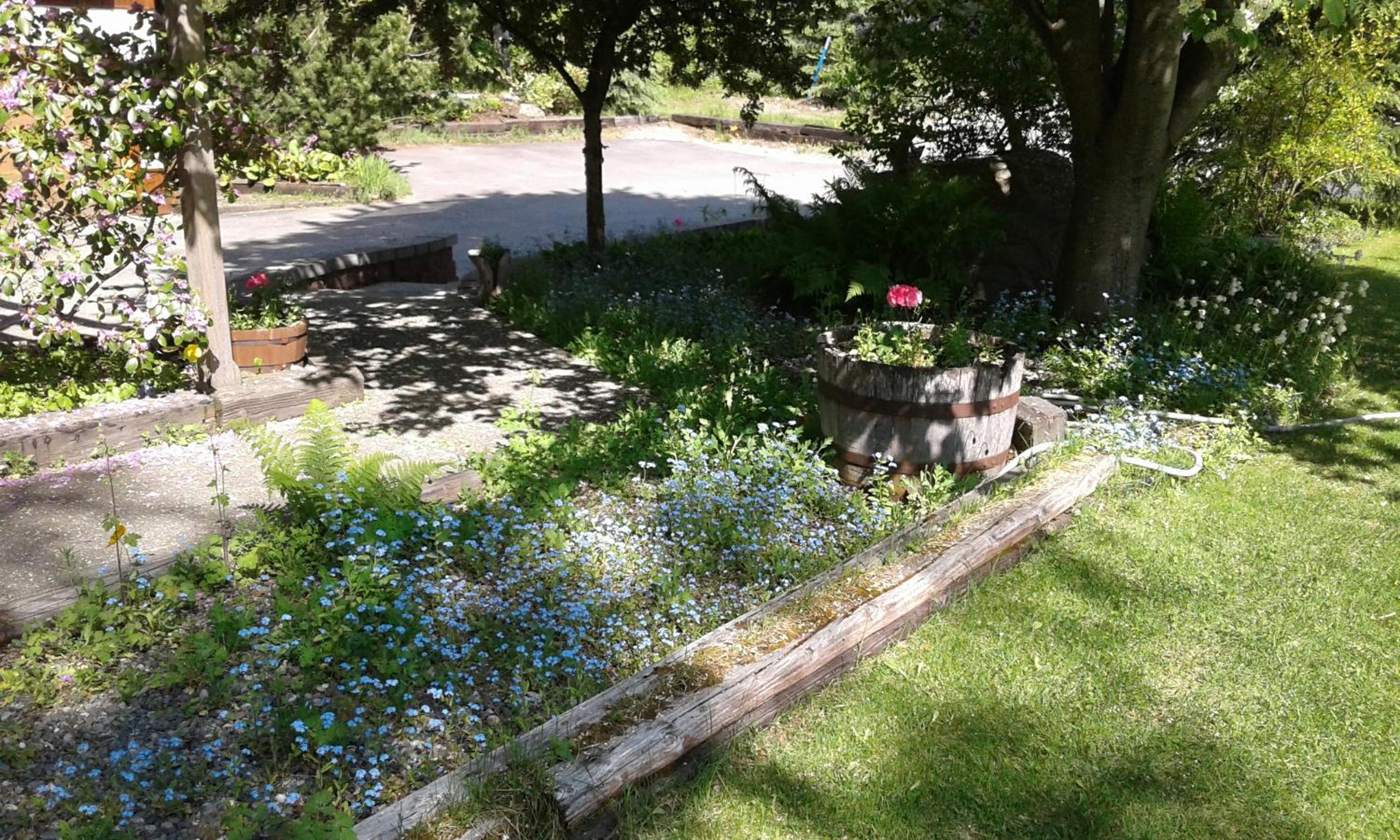 Photo 16