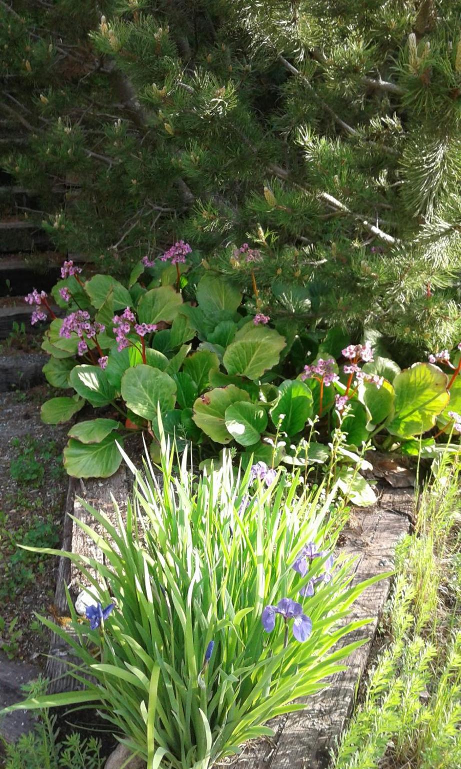 Photo 32