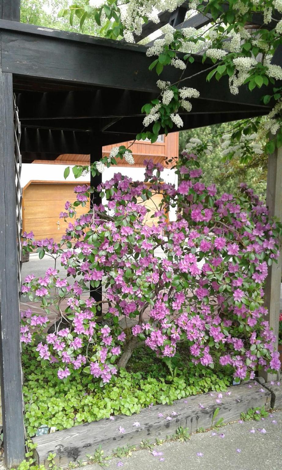Photo 35
