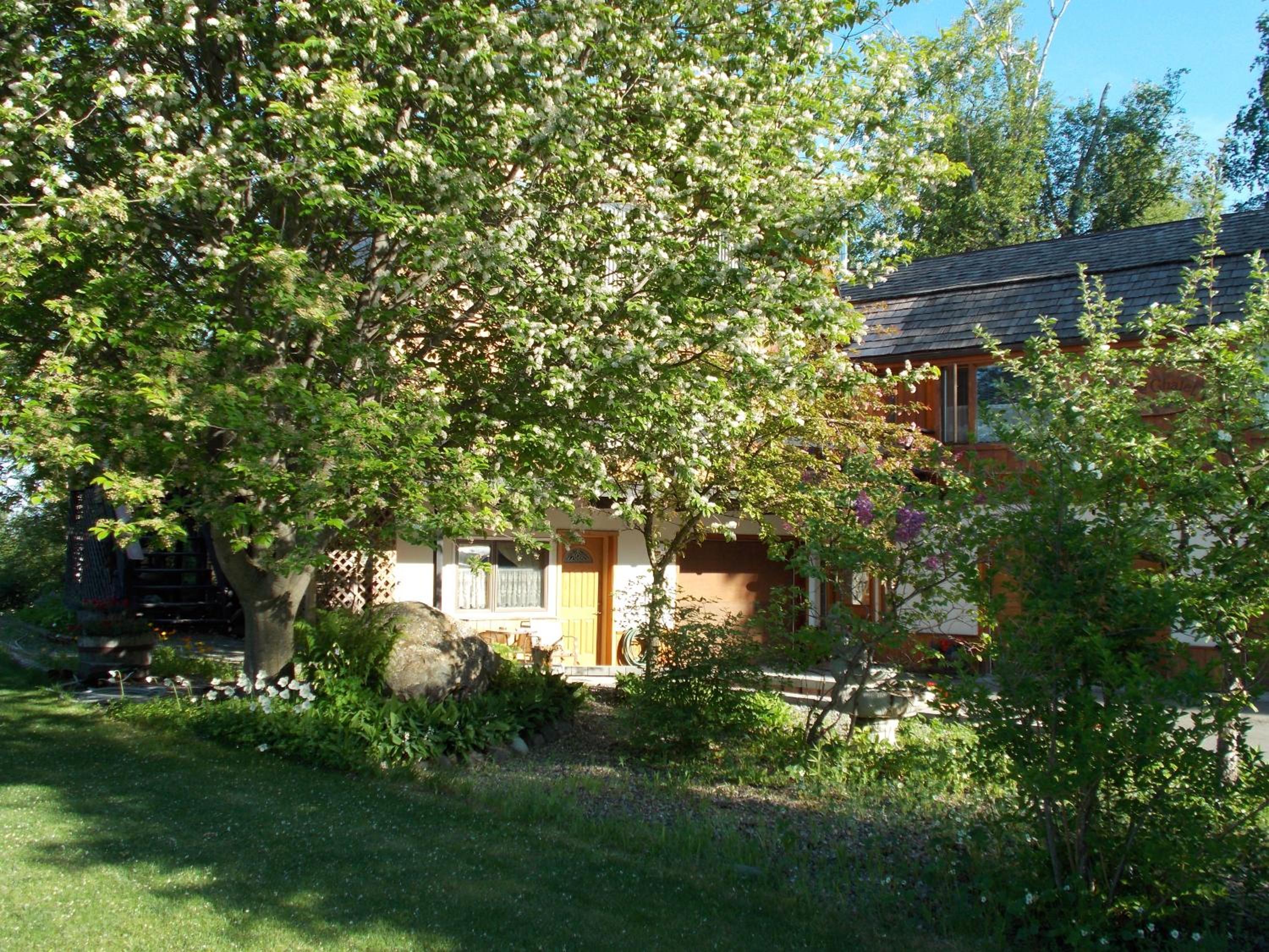 Photo 38