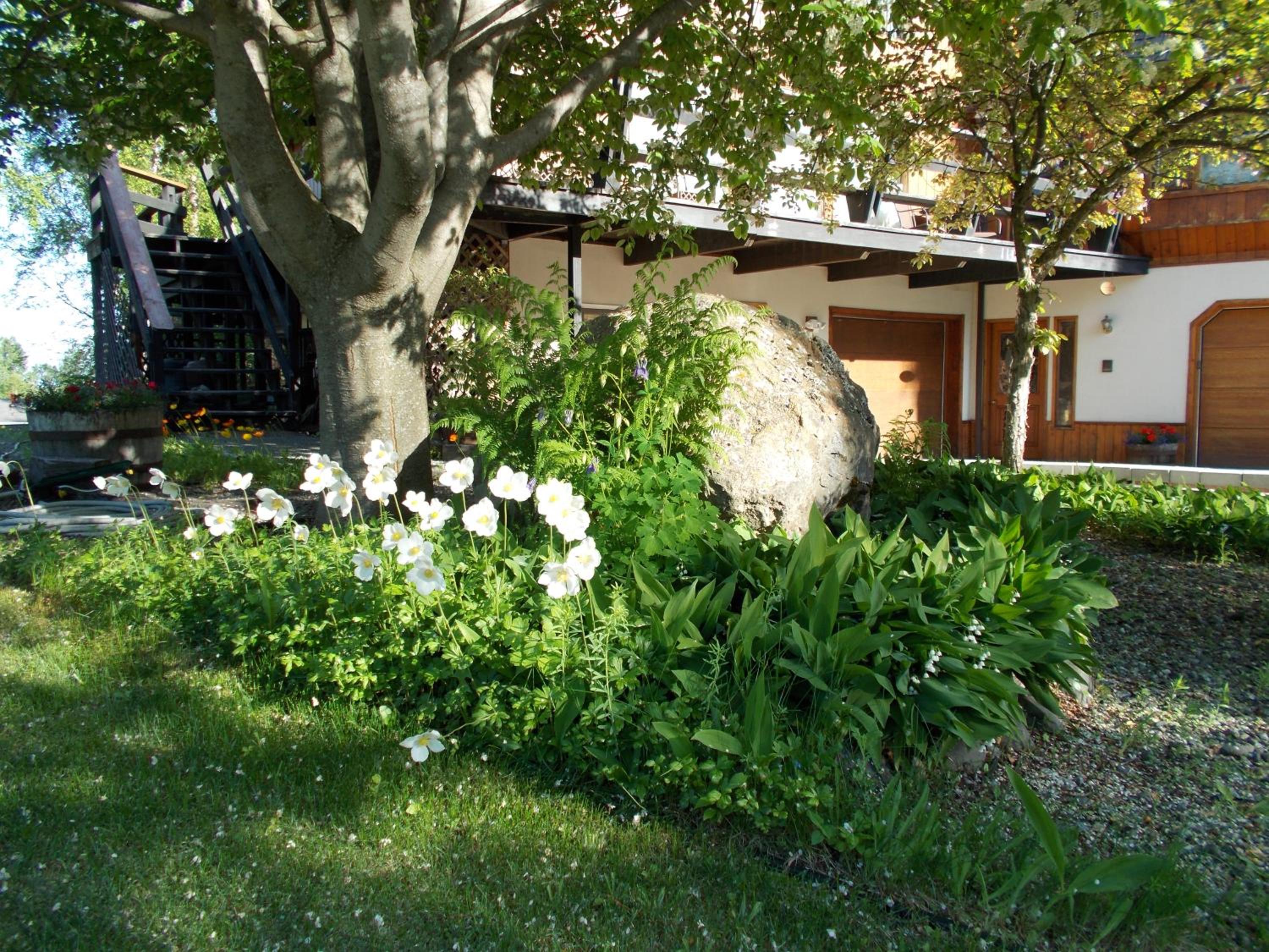 Photo 37