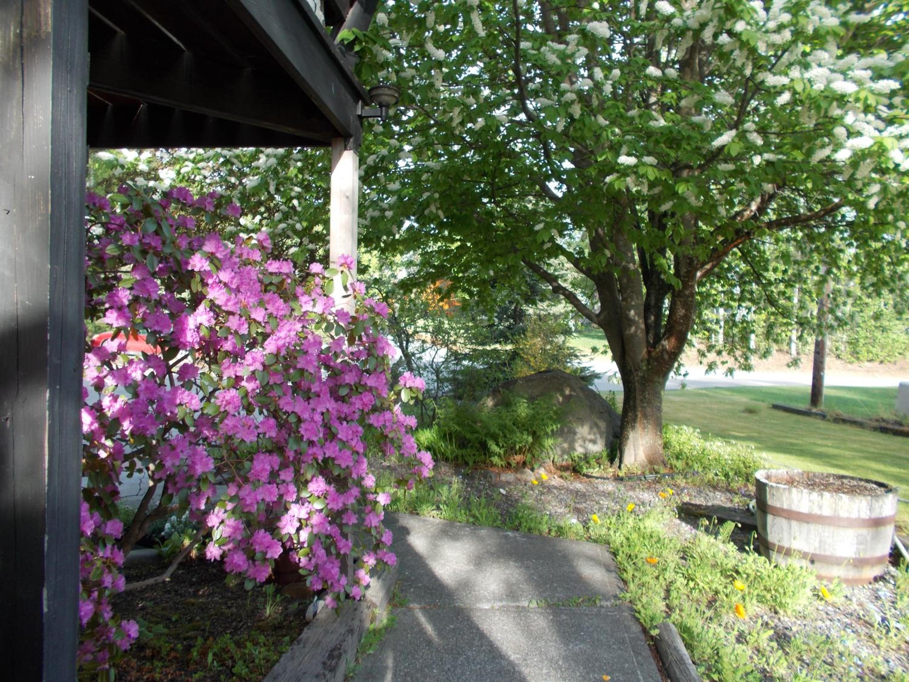 Photo 43