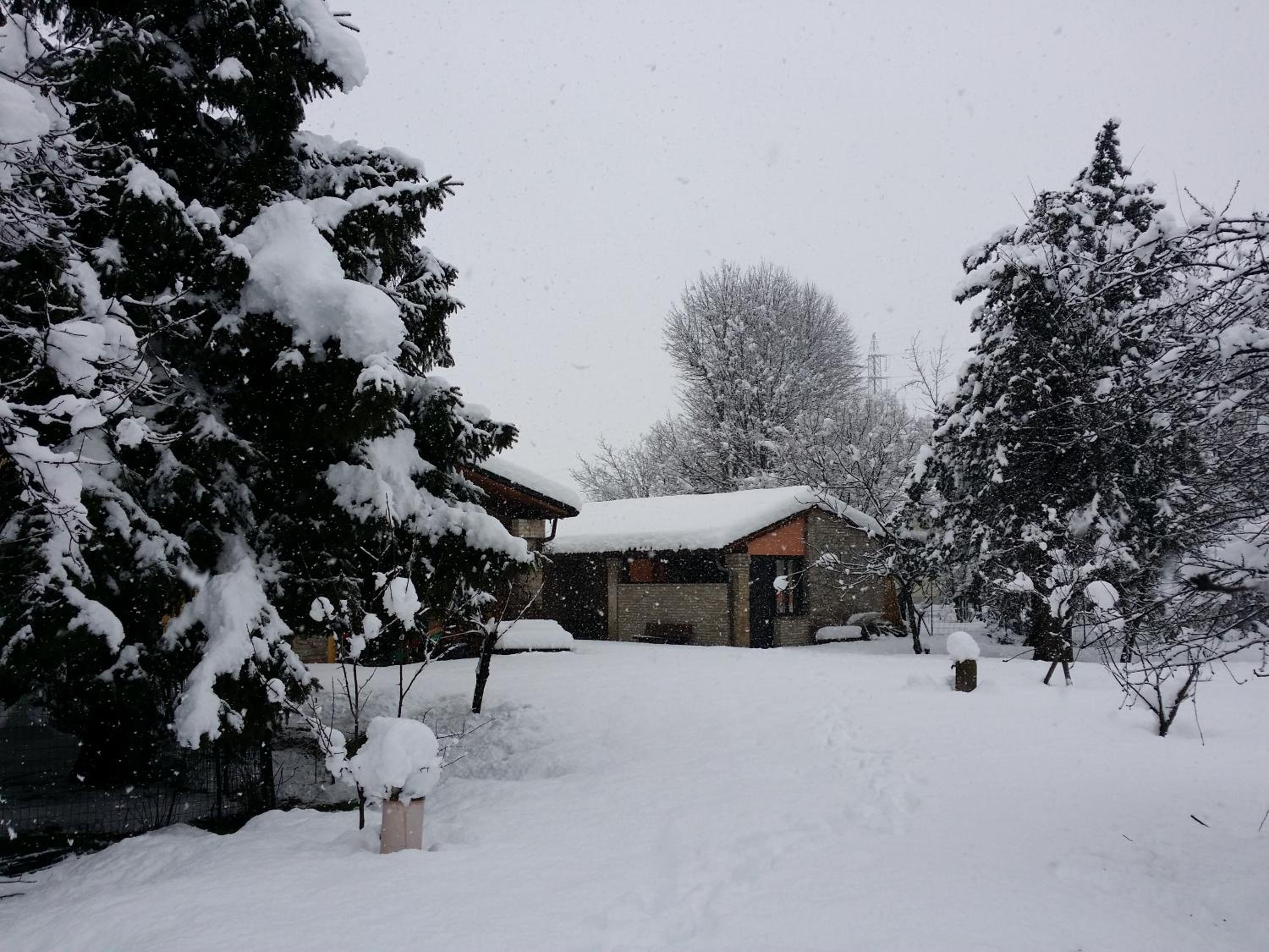 Photo 40